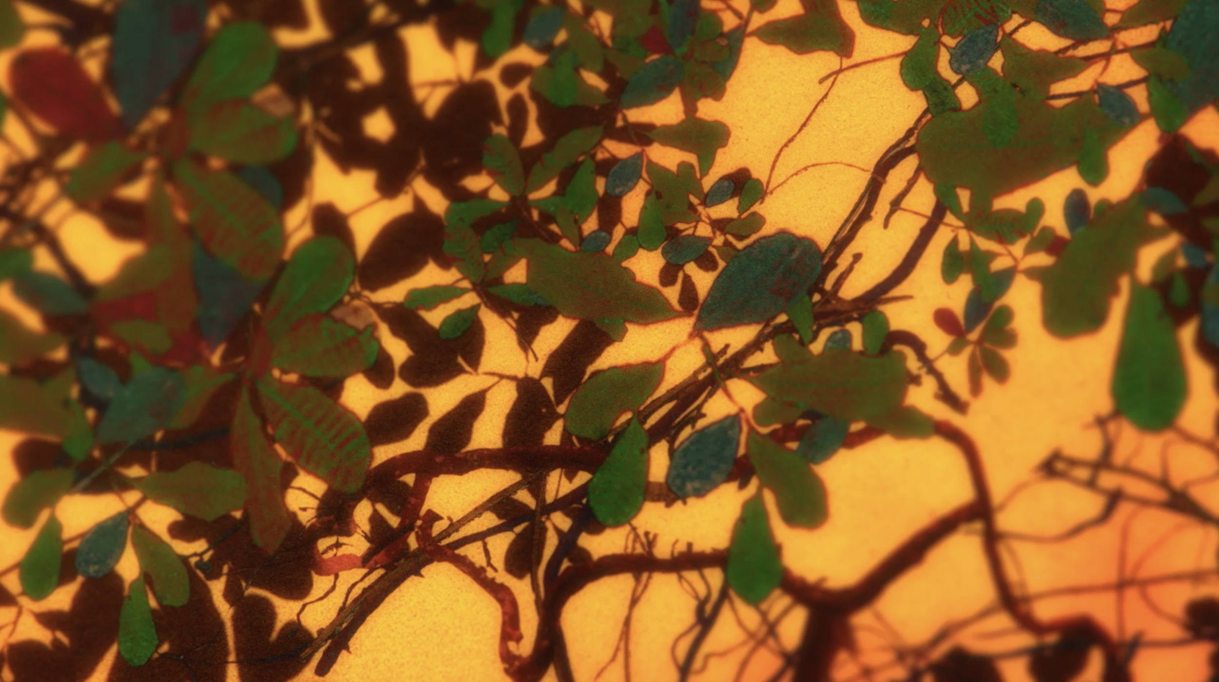 Captura de Tela 2024-11-01 às 17.11.28.png