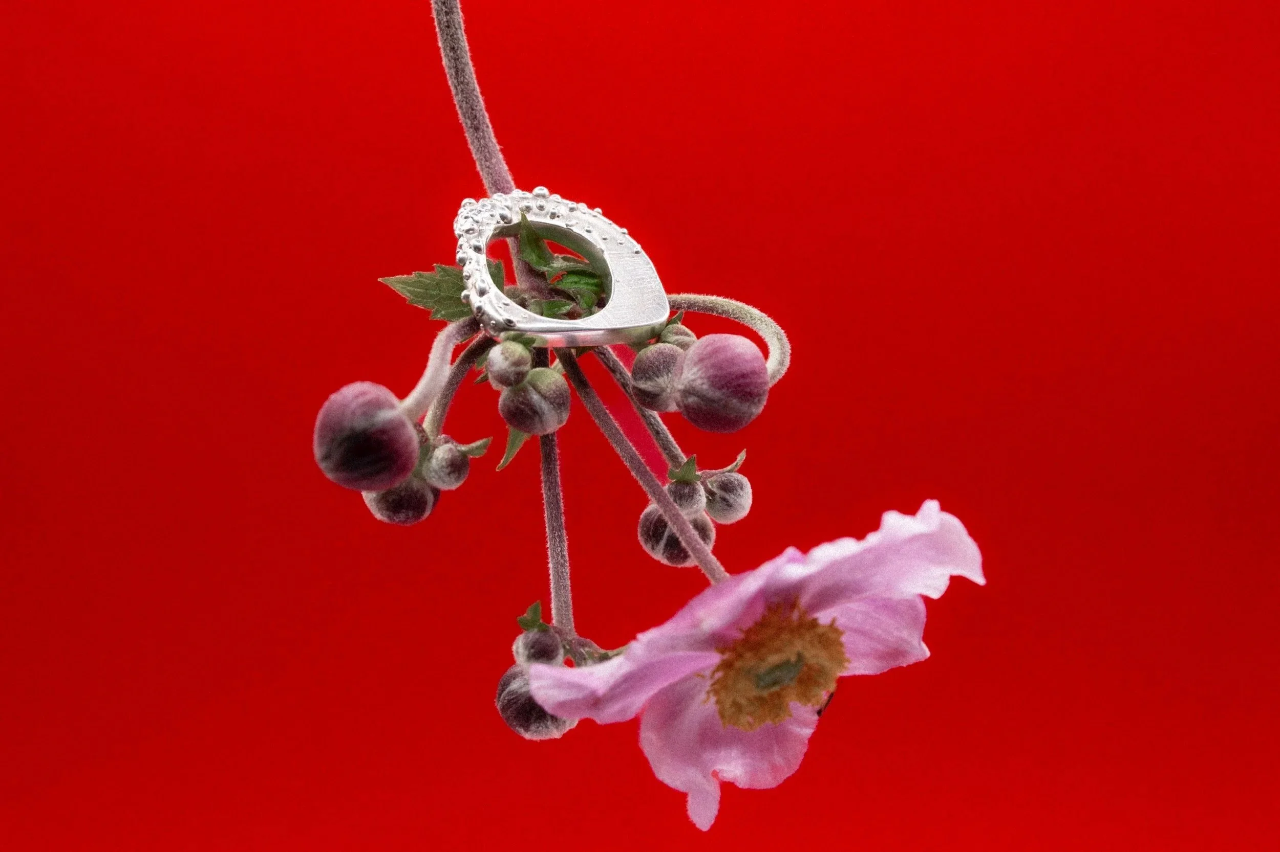 Bubble+Ring+red+small.jpg