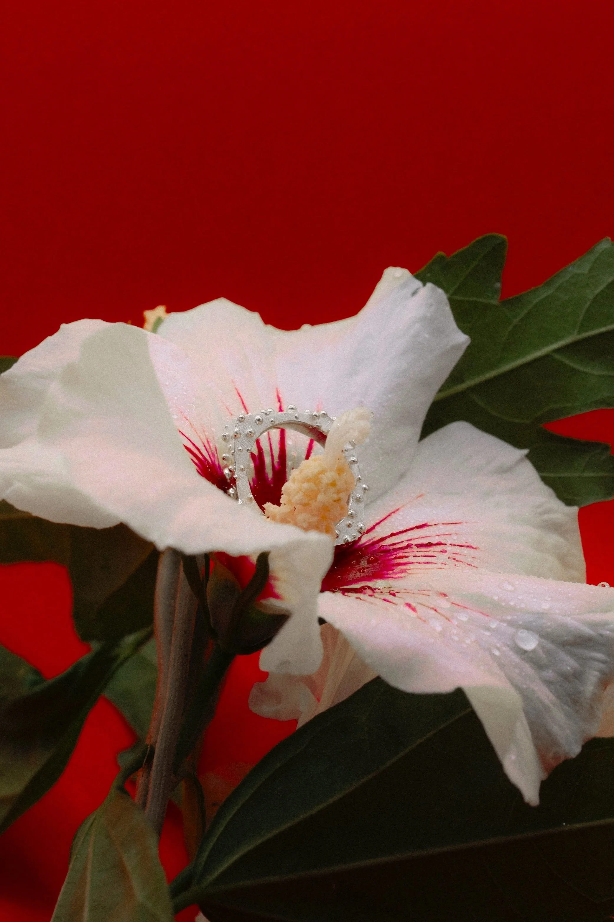 wong+kar-wai+esque+flowers+and+ring2.2.jpg