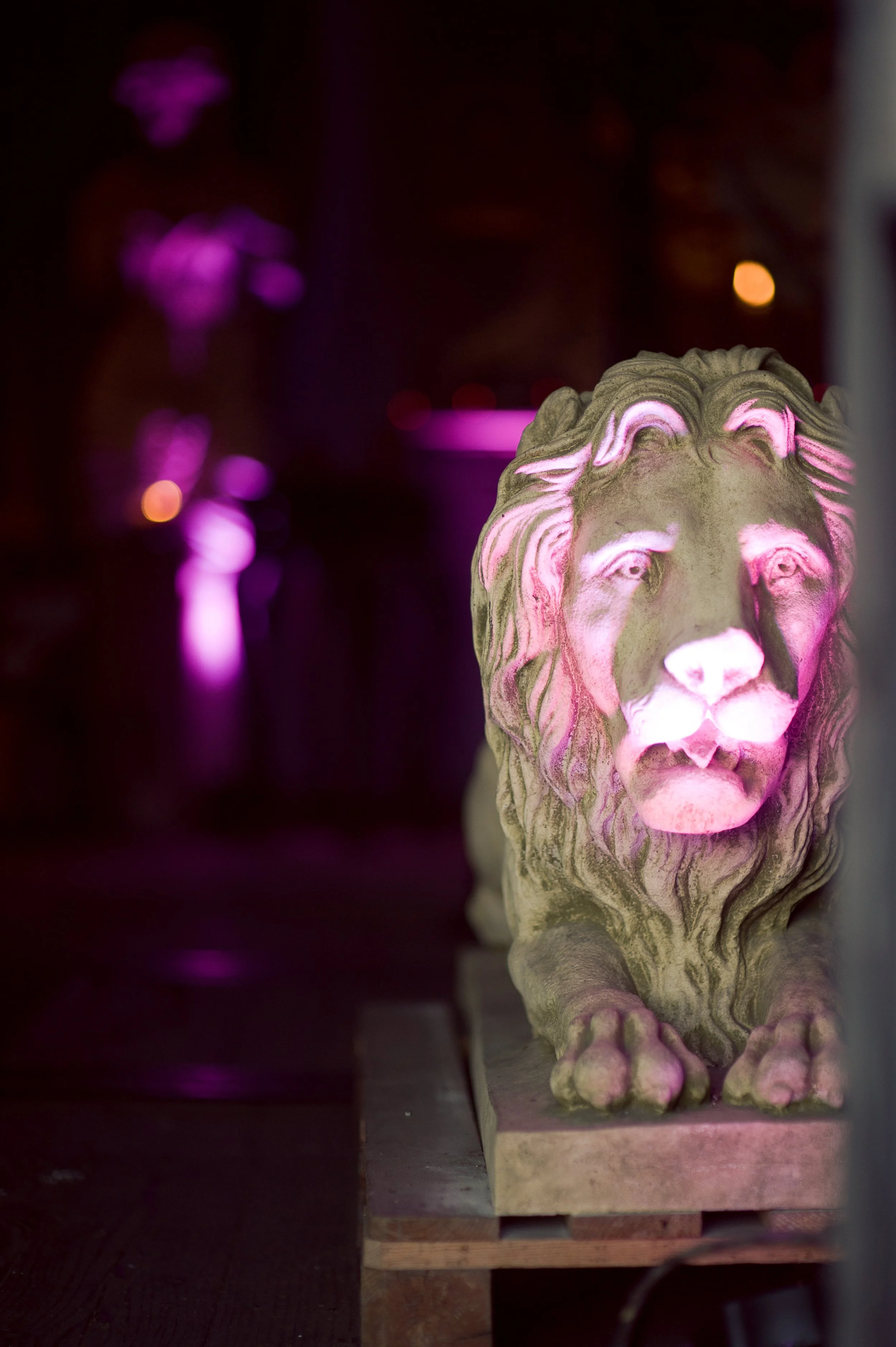 Sacred HeART Lion .jpg
