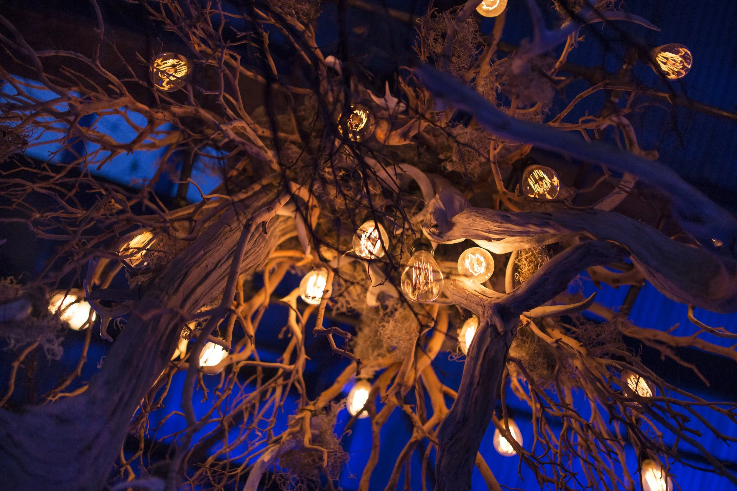 Abyss Lights.jpg