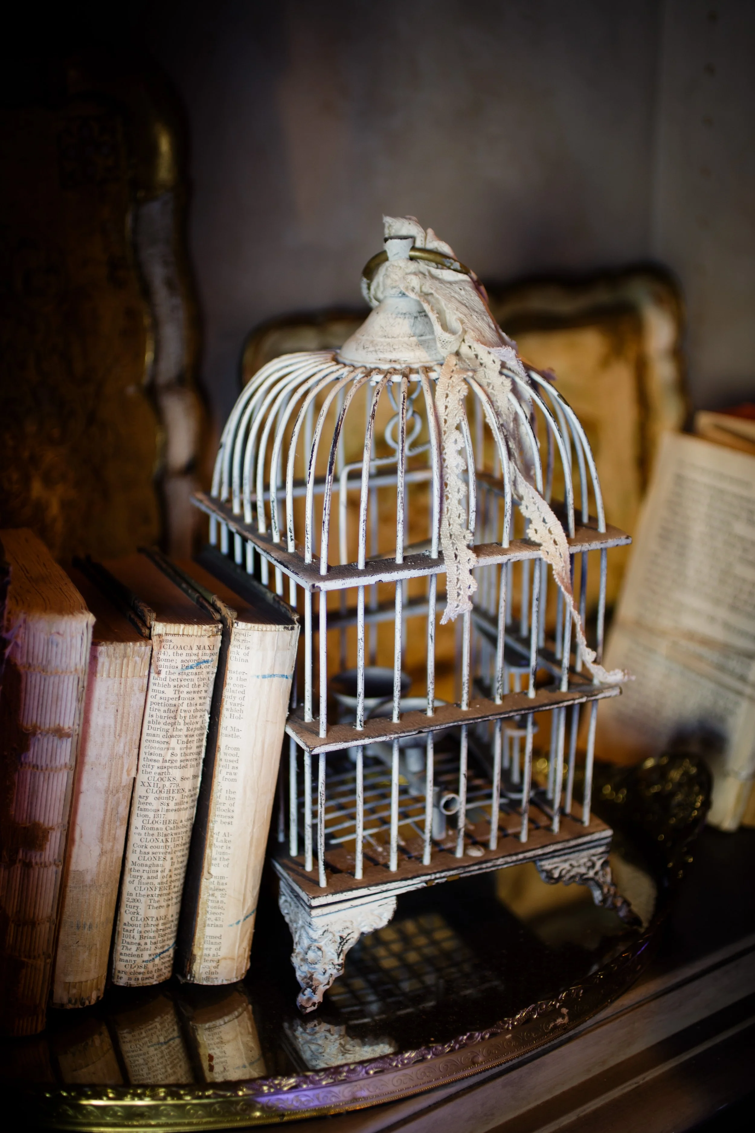 Abyss Bird Cage.jpg