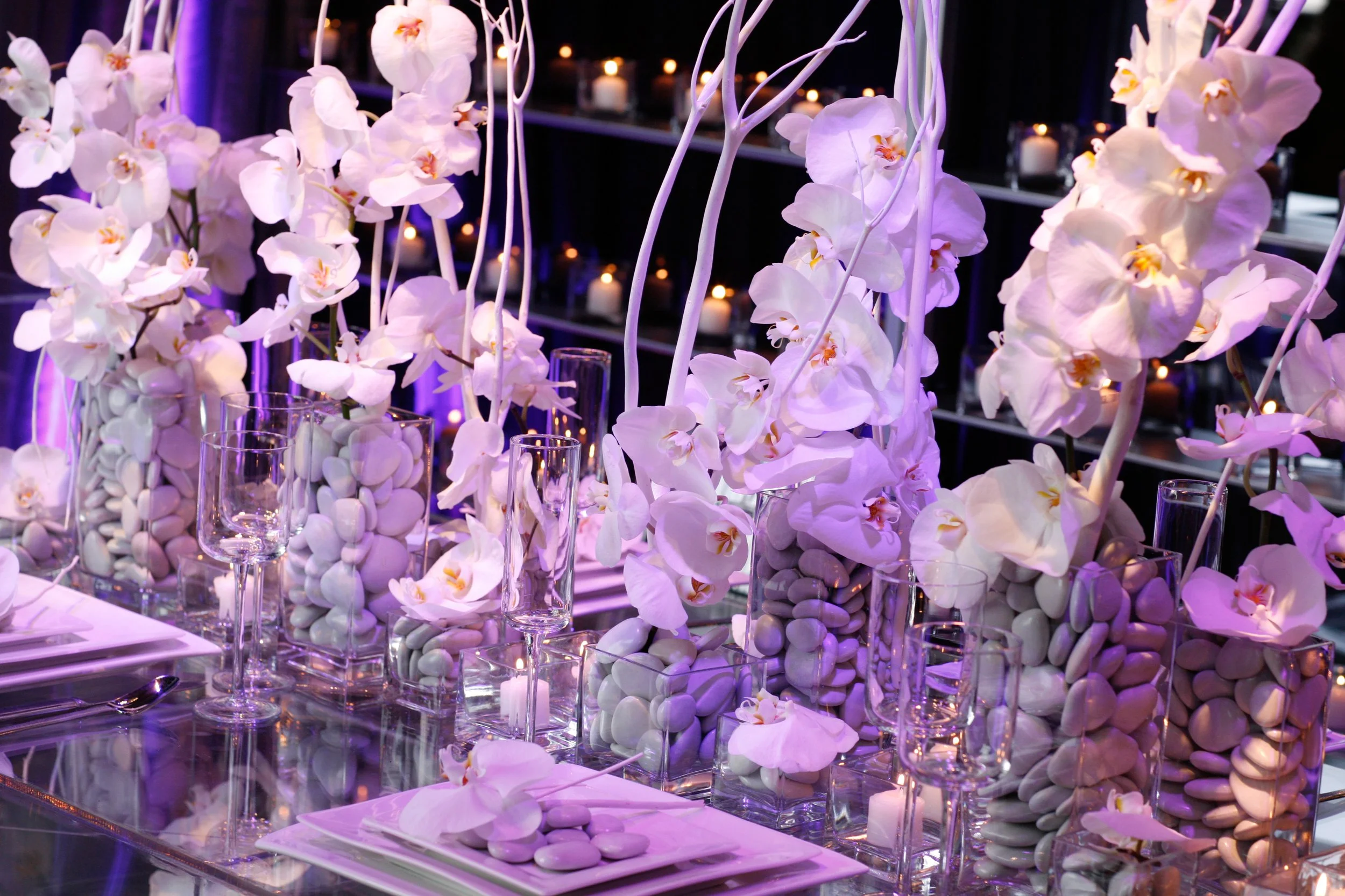 Asiel Design-BLR  -26.jpg