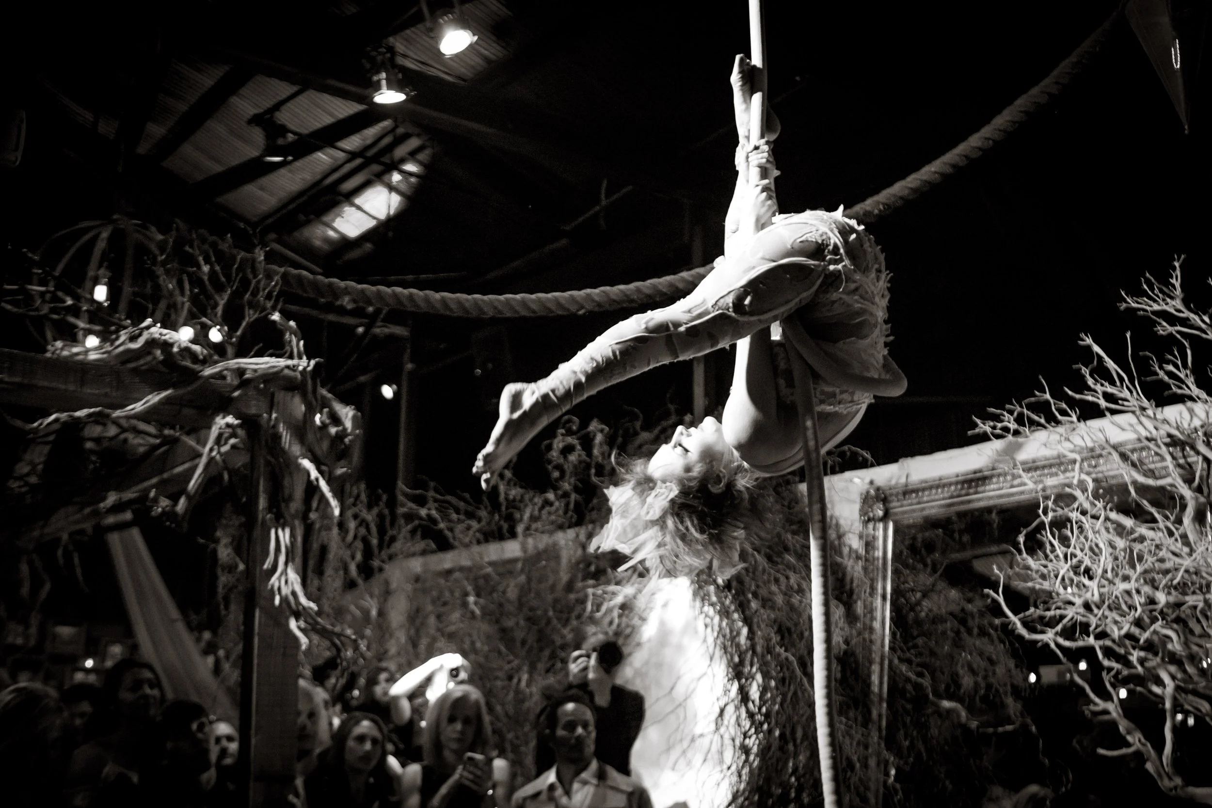 Abyss Acrobat 1.jpg