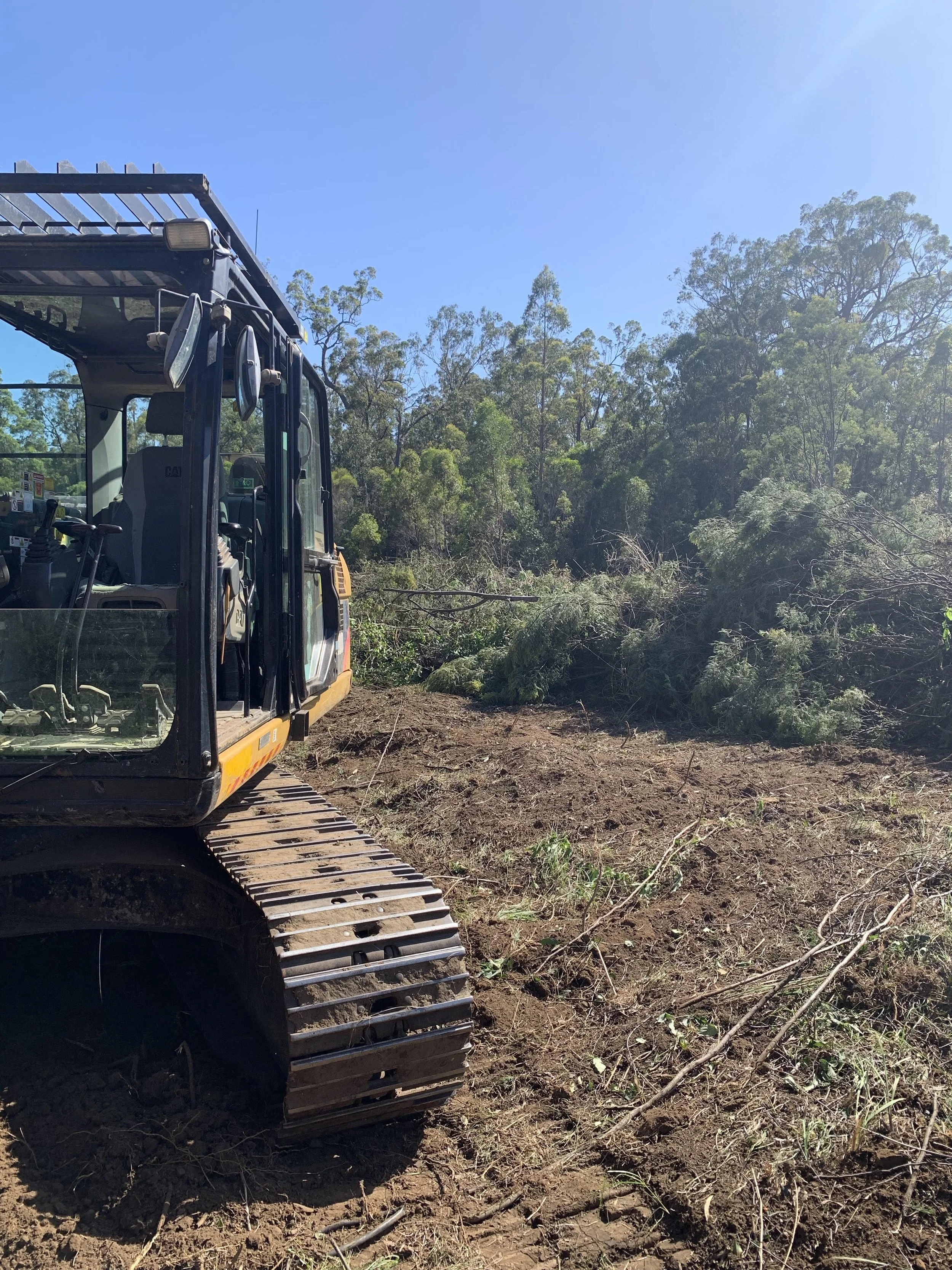 Clearing and mulching6.jpeg