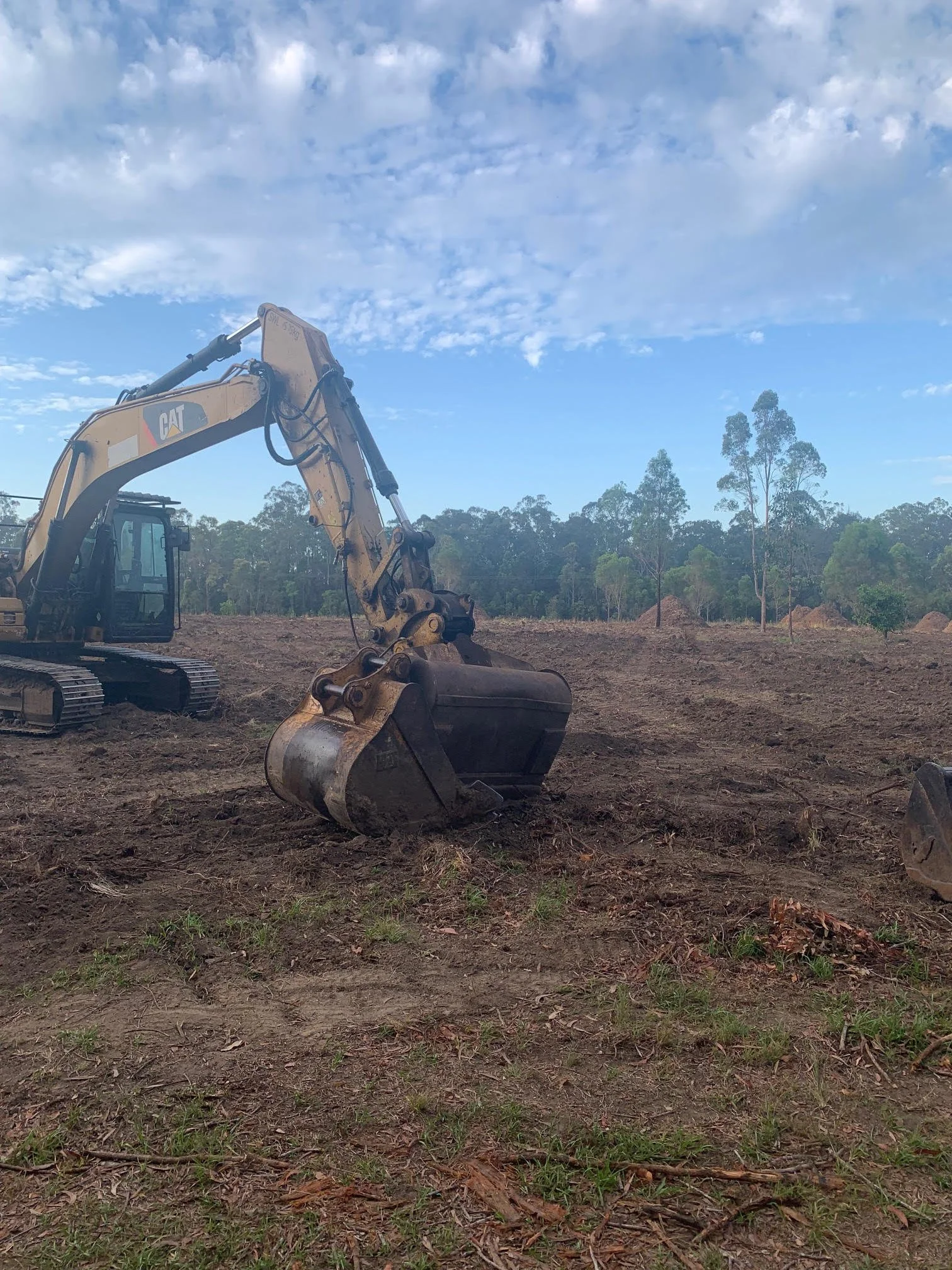 Clearing and mulching4.jpeg