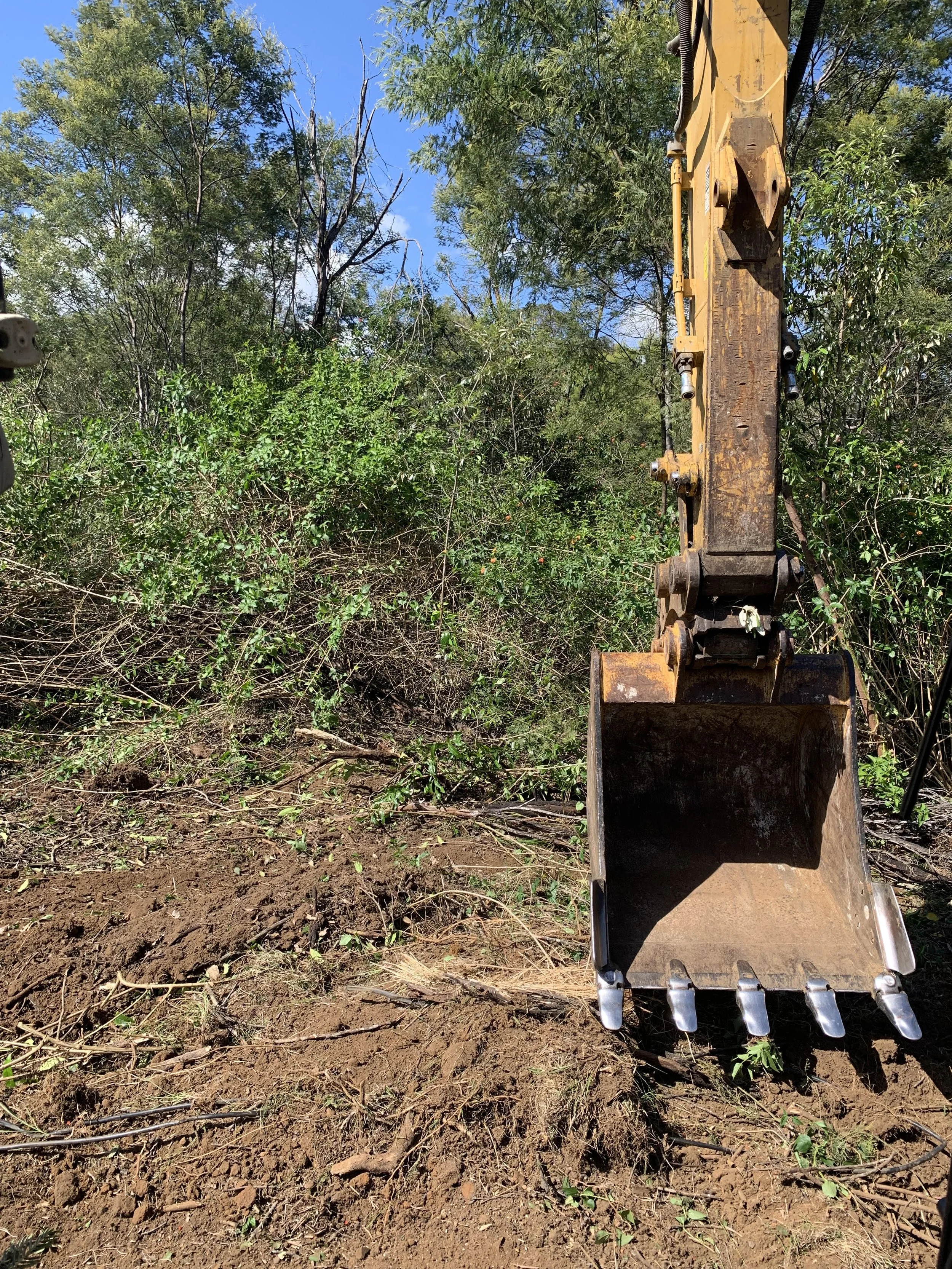 Clearing and mulching5.jpeg