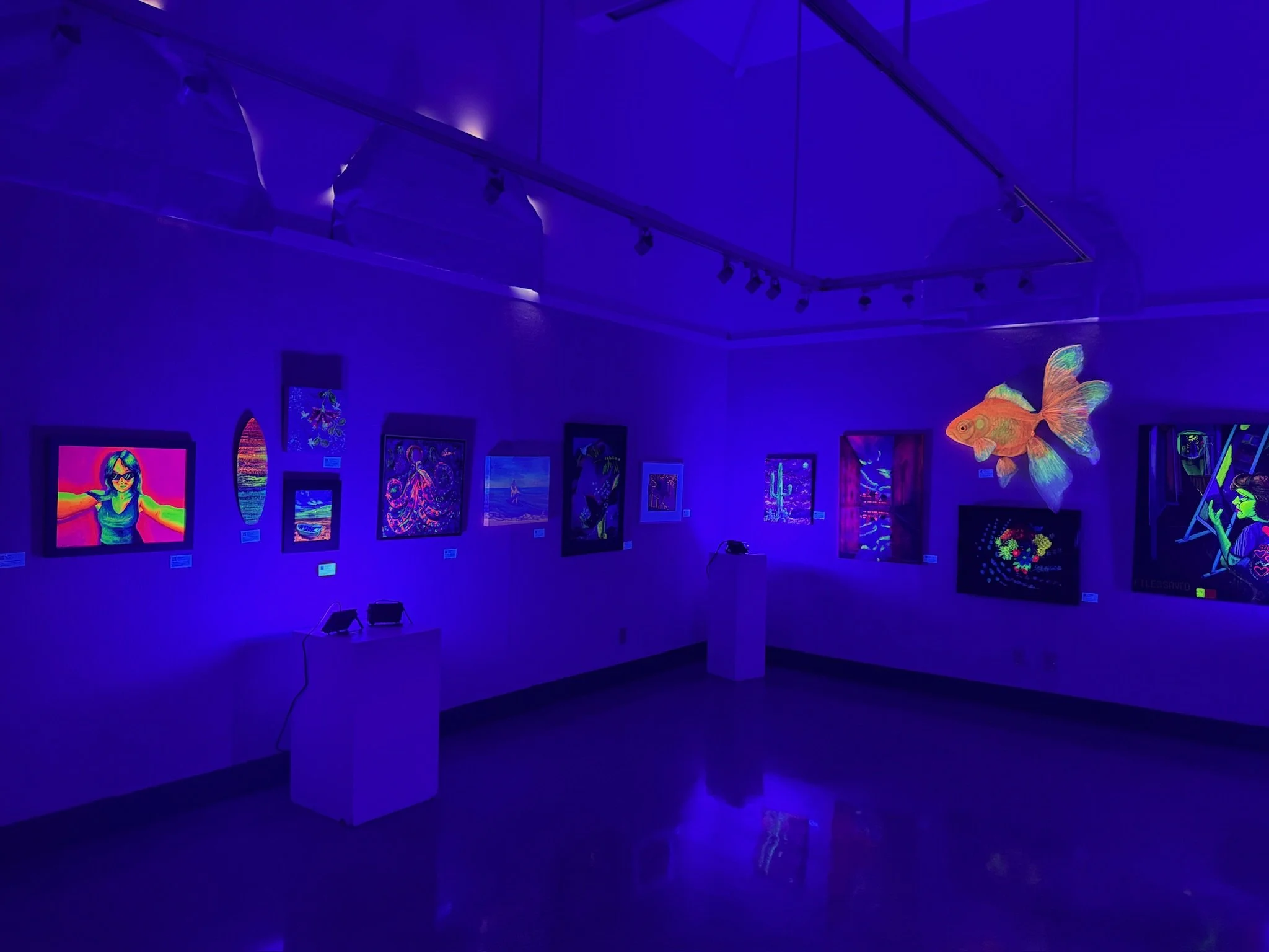 Unique Art Exhibit Invites You to Step Into Near-Total Darkness