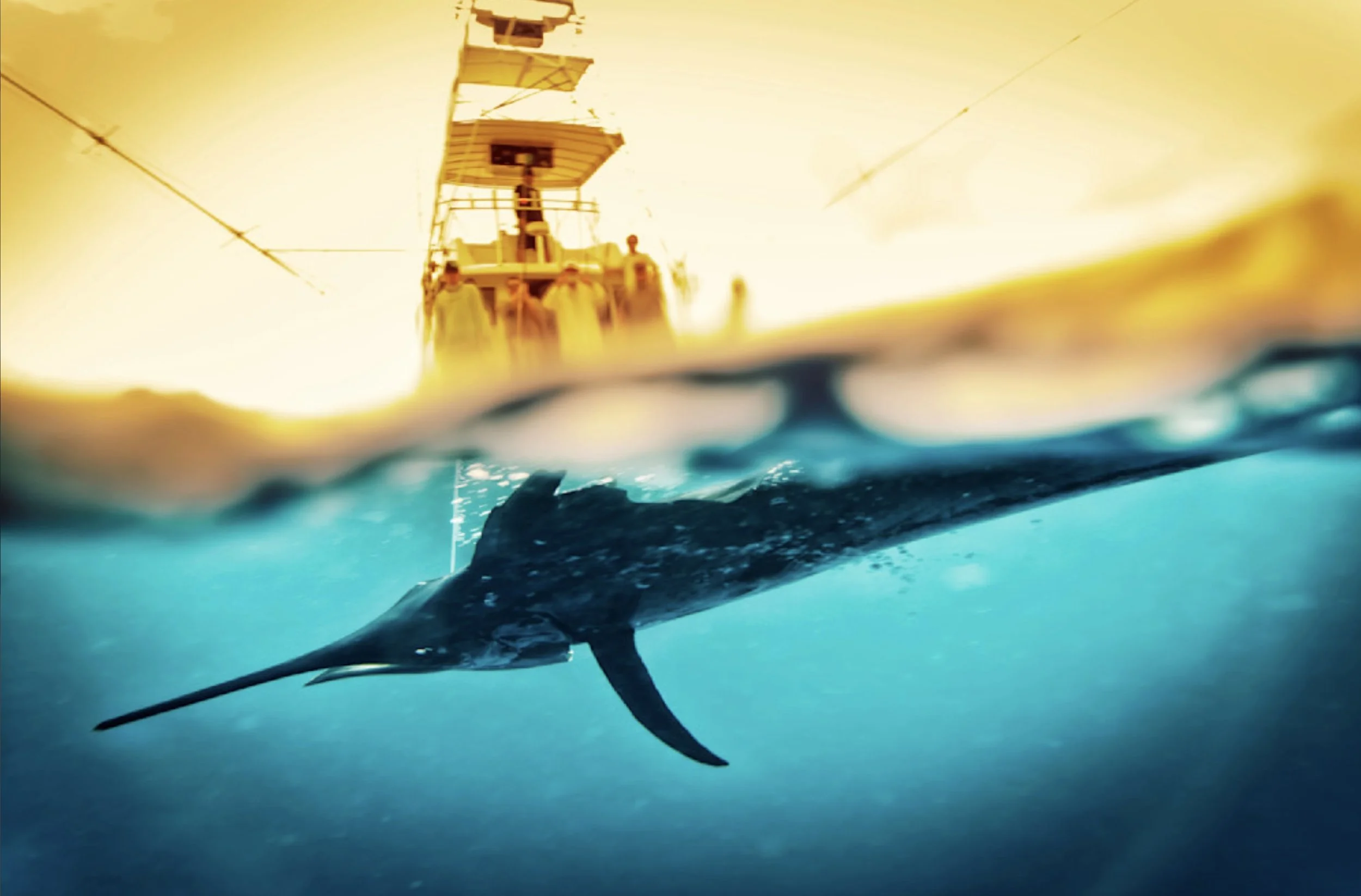 Sail Versus Man by Kevin Dodge.jpeg