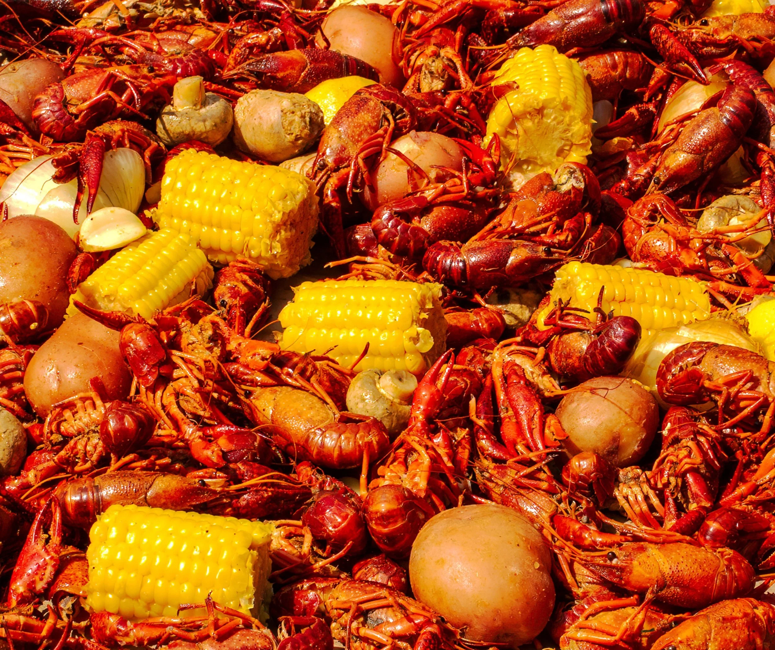 St. Augustine Lions Seafood Festival Brings Good Food + Good Times