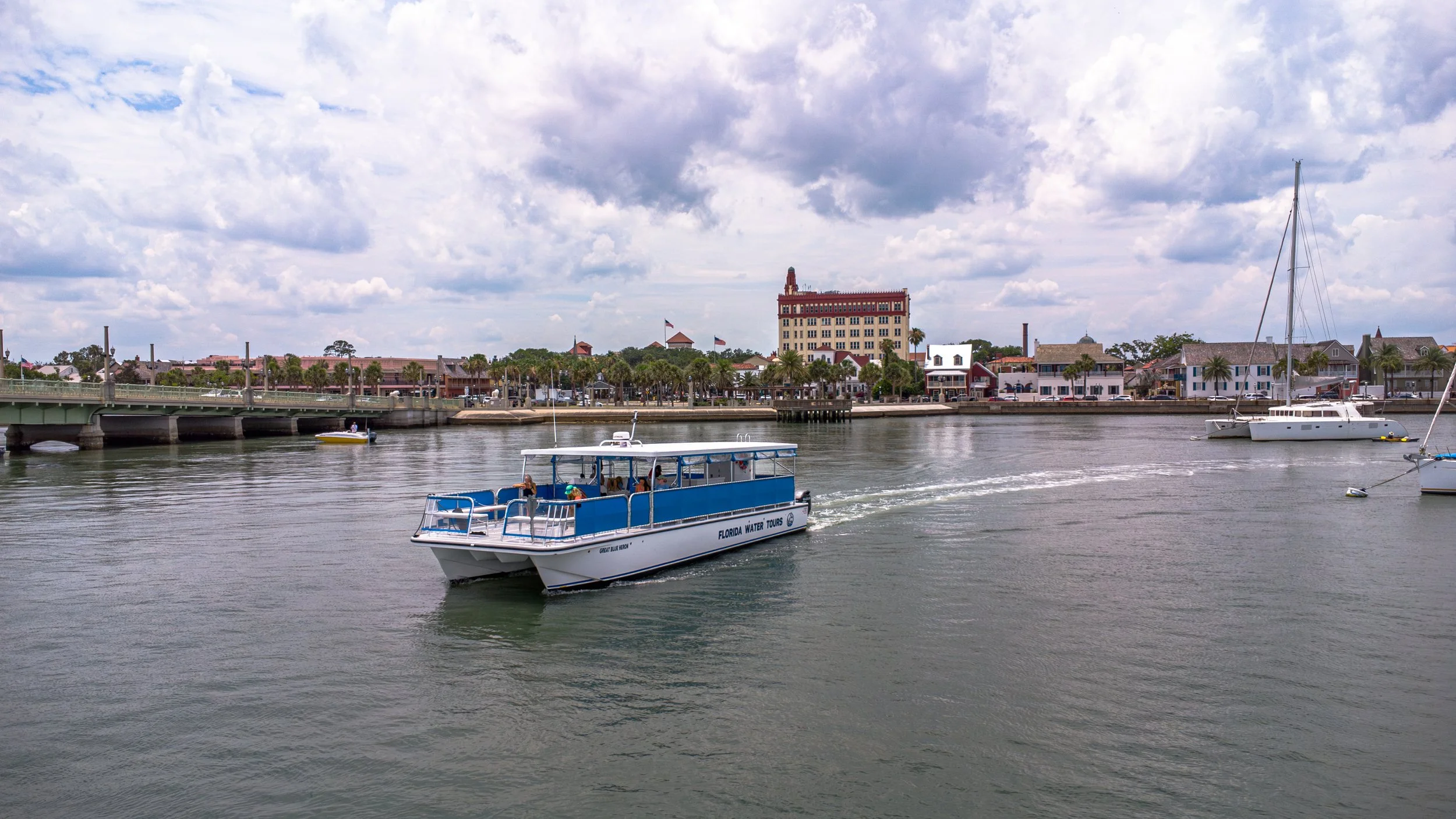 Great Blue Heron photo credit Island Sun Media.jpg