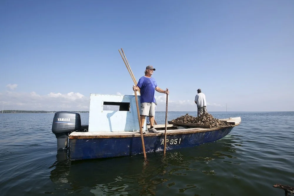 4. Oystermen photo credit Jeremiah Stanley.jpg