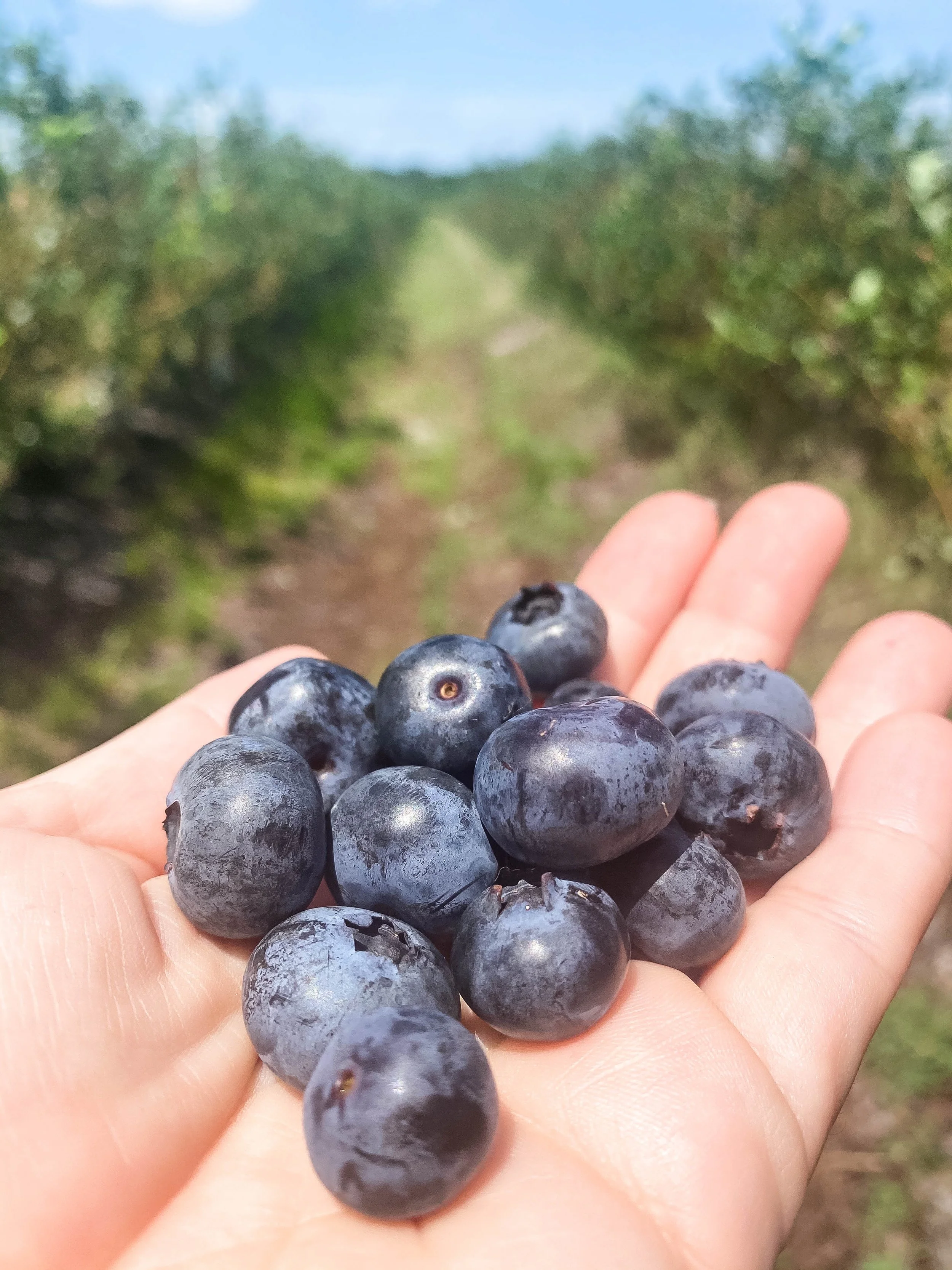 Far Reach Ranch 16.jpg