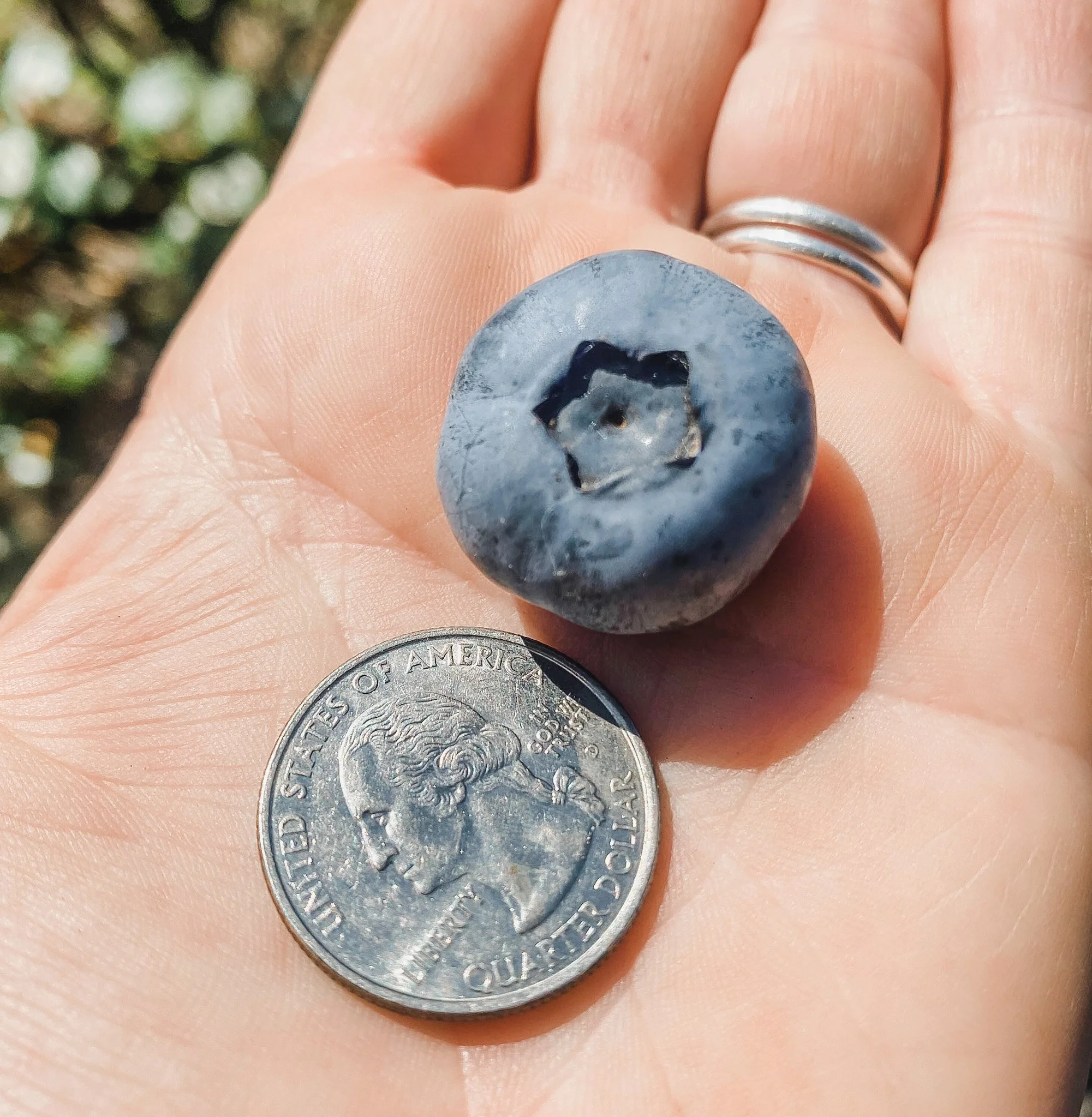 Far Reach Ranch 6.JPG