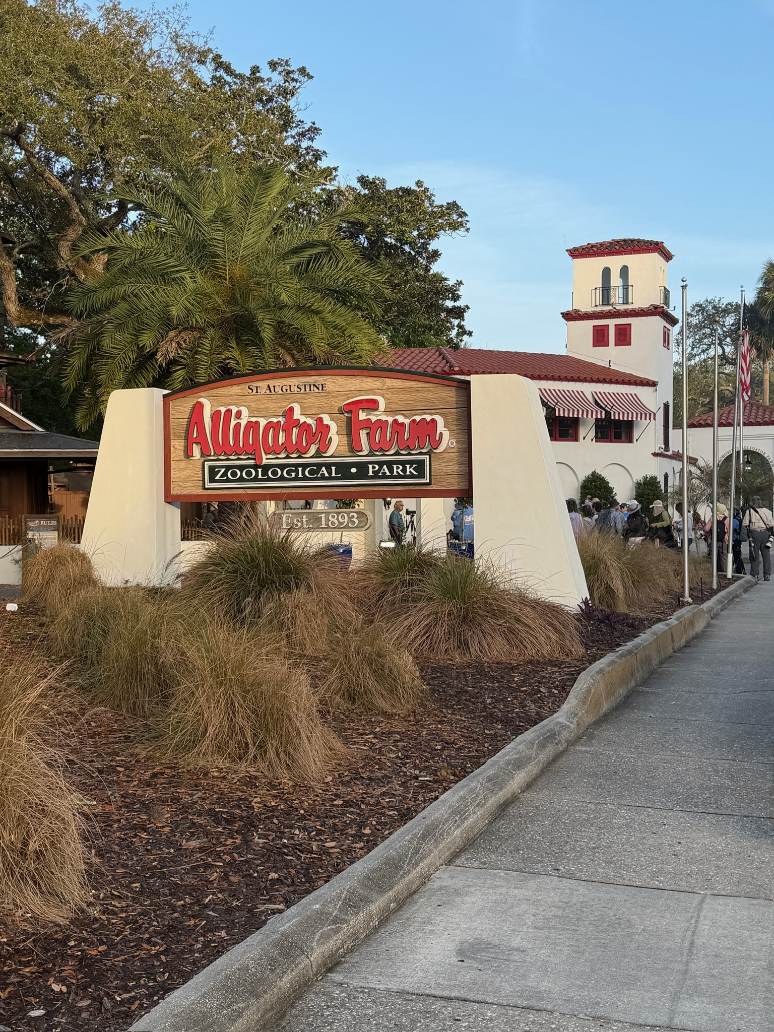 St. Augustine Alligator Farm Zoological Park Photo by SAAF.png