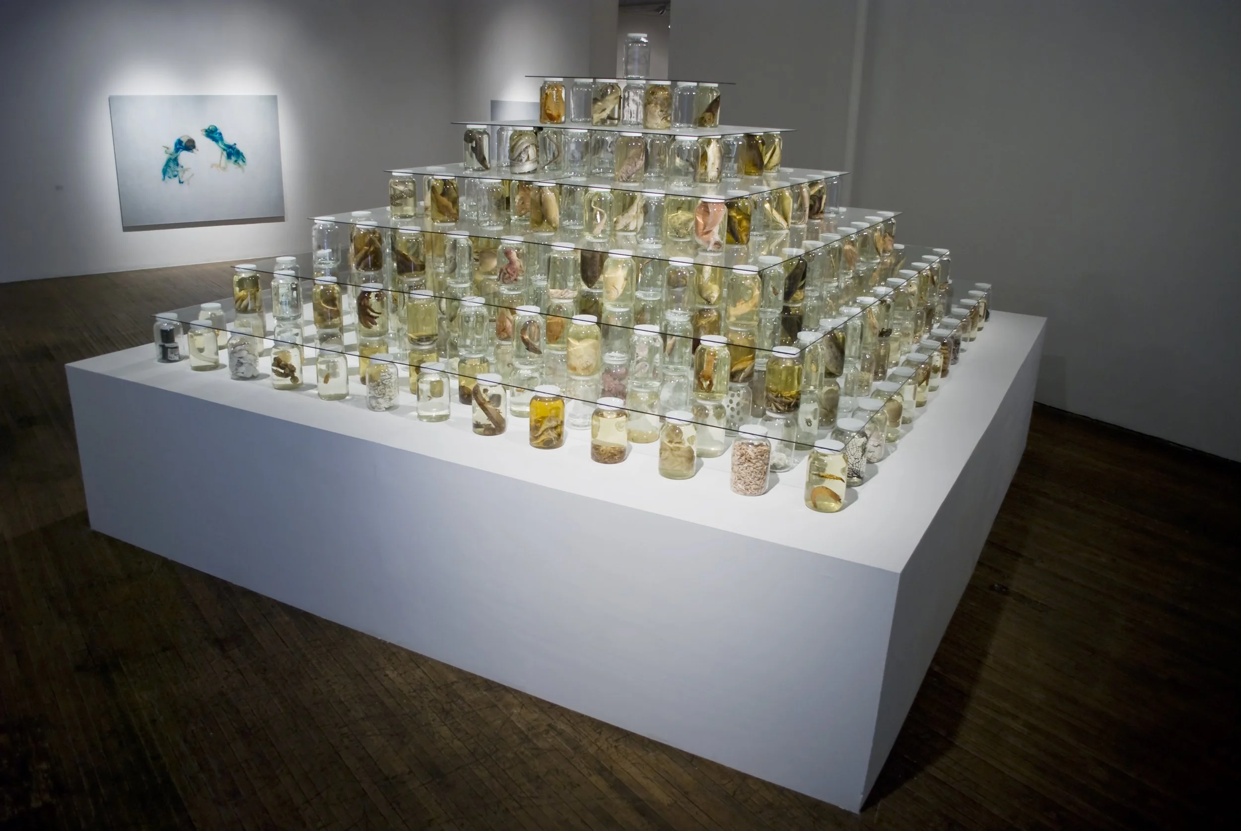 Crisp-Ellert Art Museum Welcomes Visual Artist &amp; Biologist Dr. Brandon Ballengée