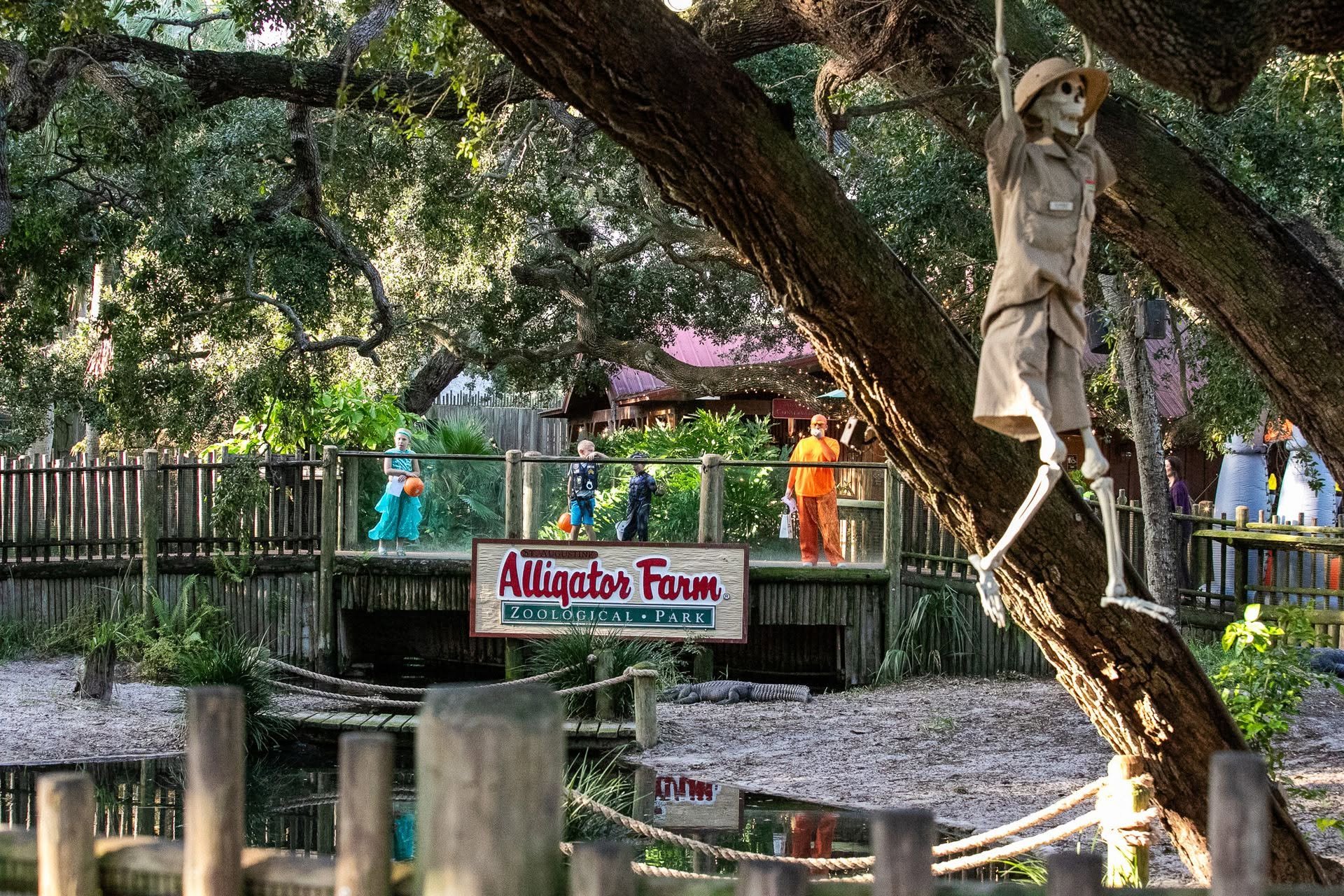 Creatures of the Night Returns to St. Augustine Alligator Farm