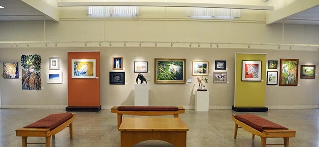 STAAA Main Gallery.jpg