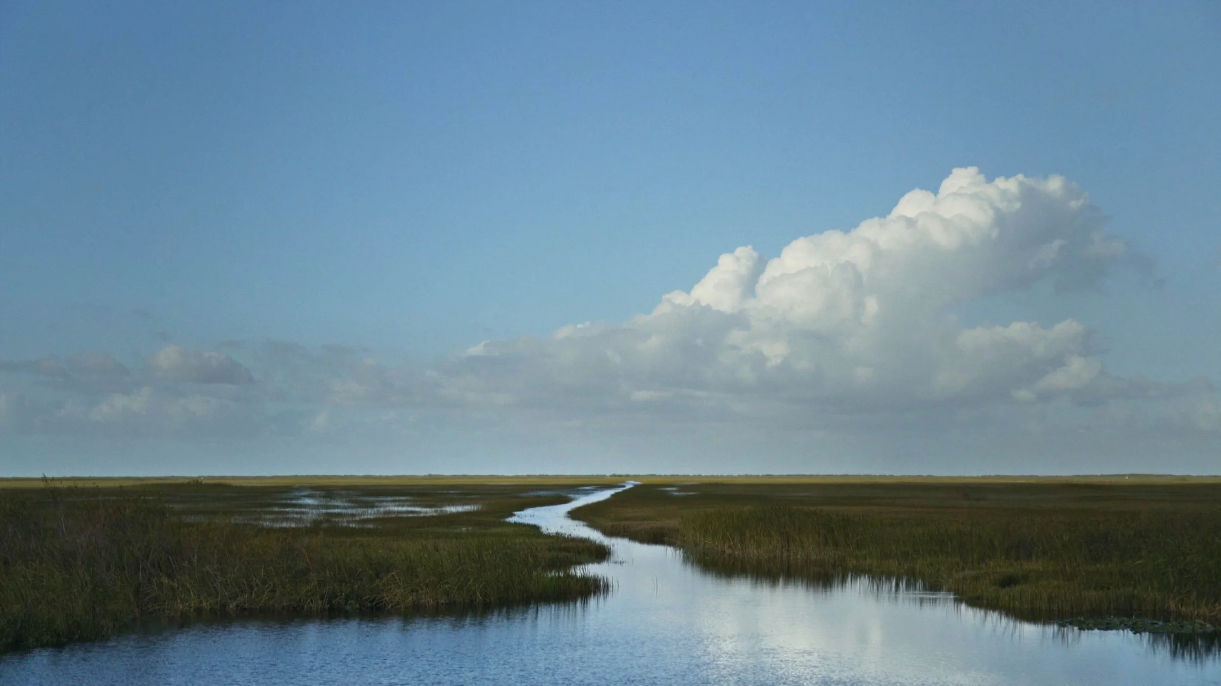 RIVER OF GRASS movie still 1.jpg