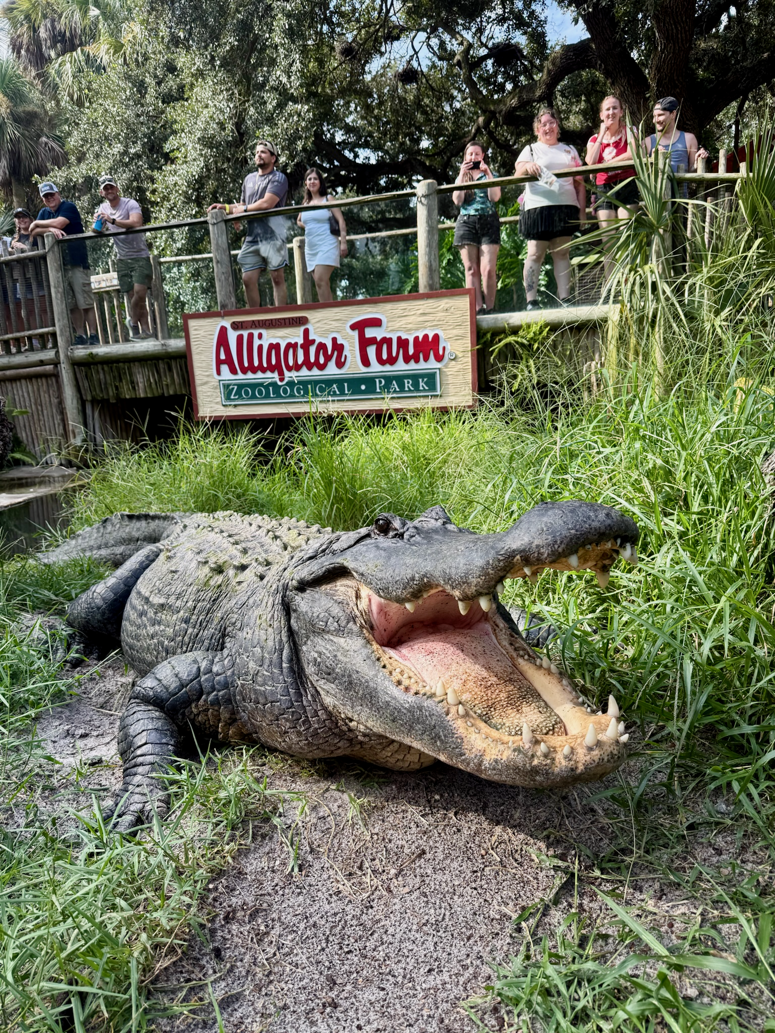 St. Augustine Alligator Farm Celebrates Opening of New Veterinarian Clinic