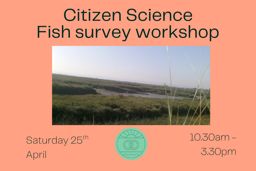 Citizen Science - fish survey workshop 