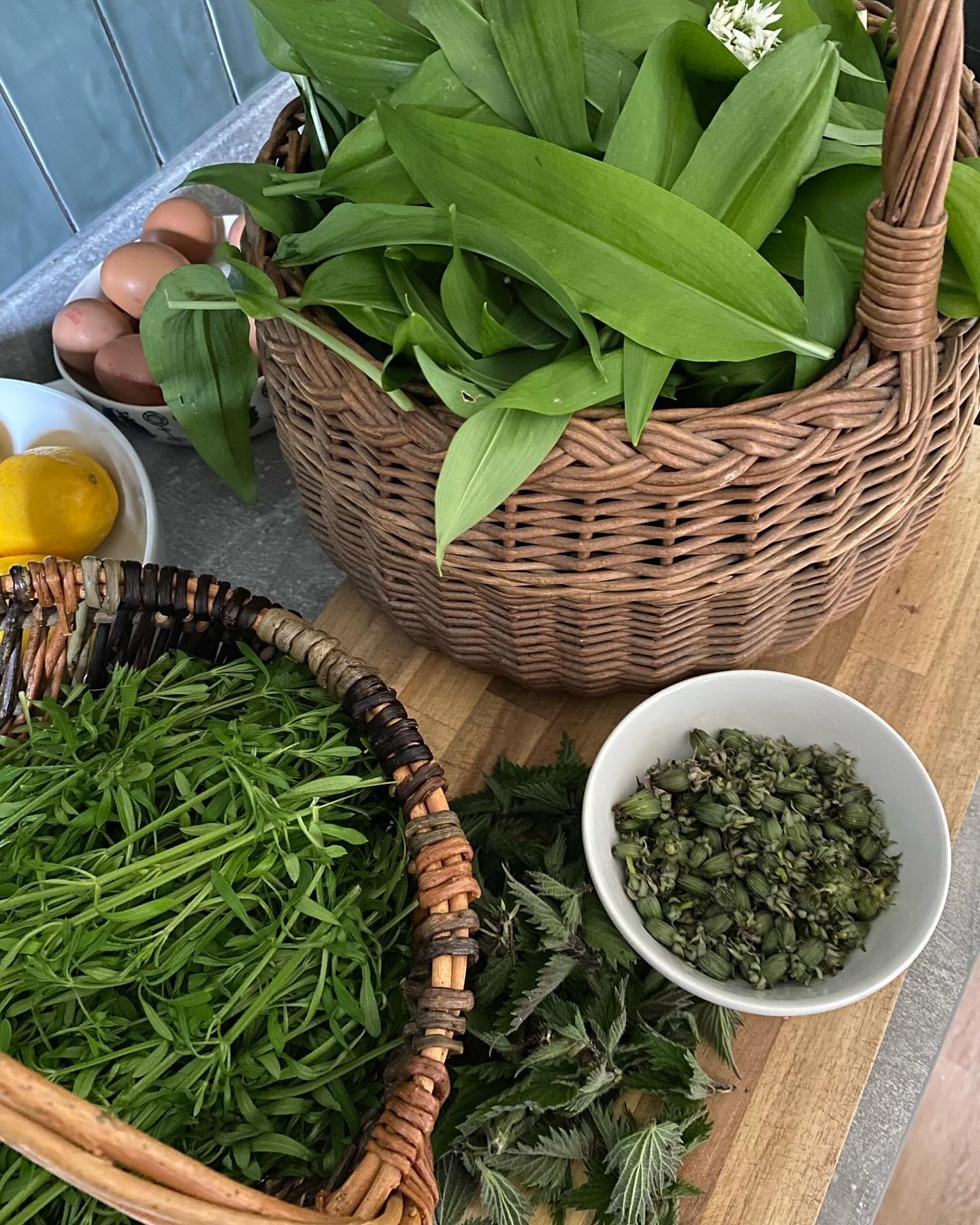 Our foraging year begins 🌿

For us, our personal foraging year started on Sunday, it was the first chance we&rsquo;ve had to get a chunk of time to go foraging and then process what we harvested. 

Even so, thinking I was fully prepped (how foolish&