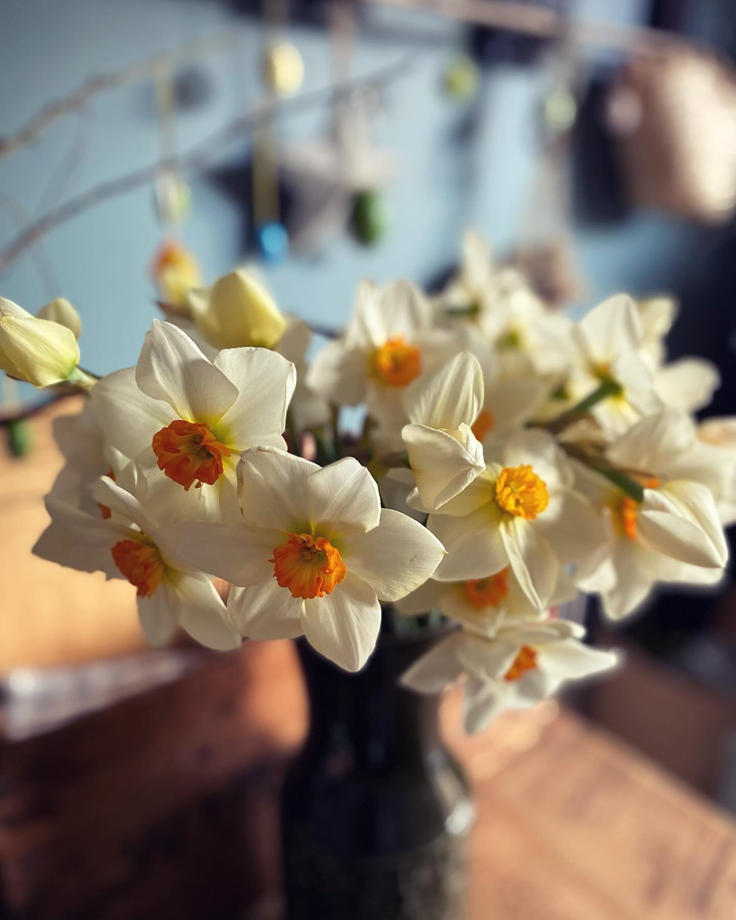 Happy Springtime 🐣🐰🌷

Gotta love the daffodils&hellip; 😍