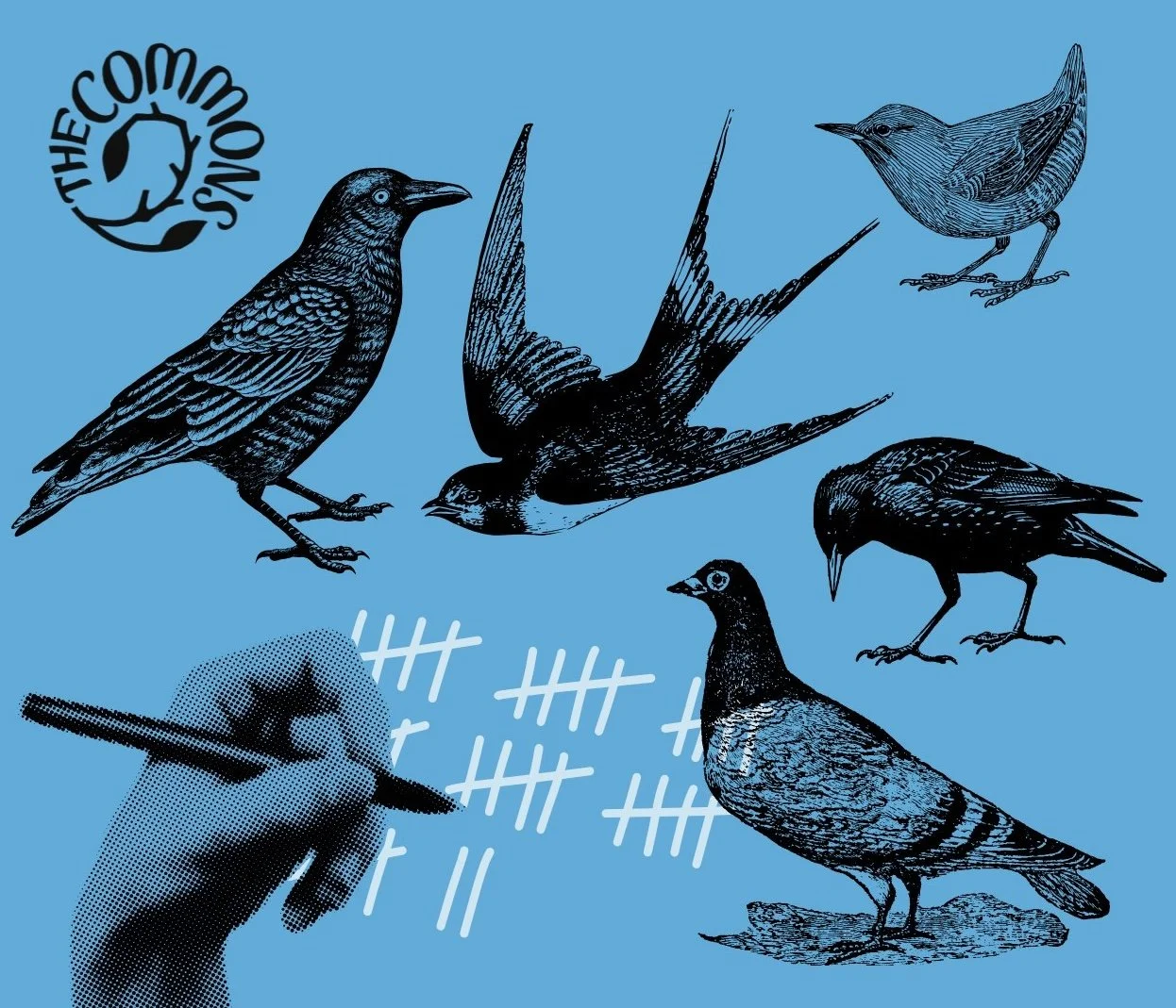 The Big Garden Birdwatch 2026 at The Commons Café