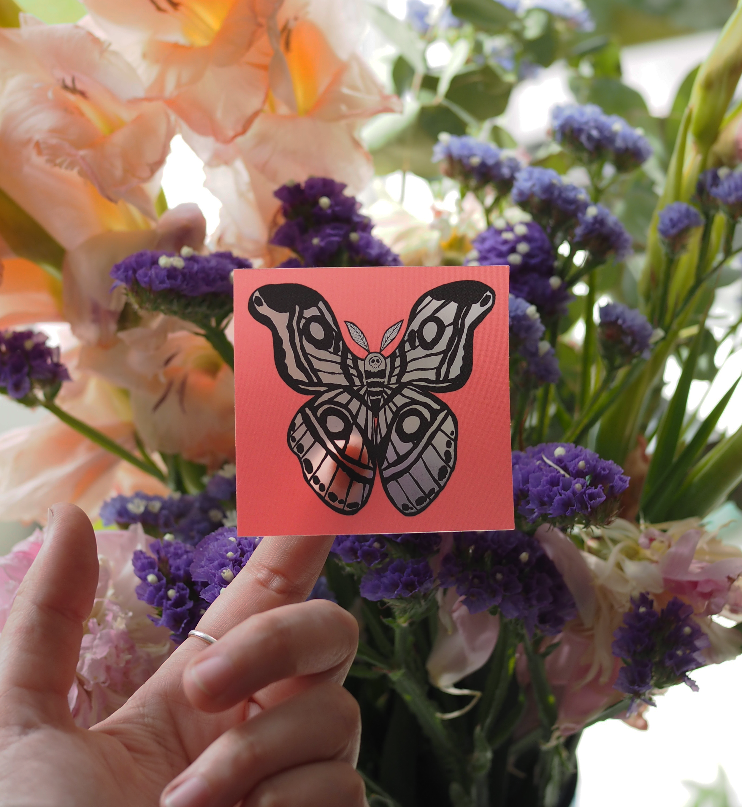 IMG_6906NEW.png
