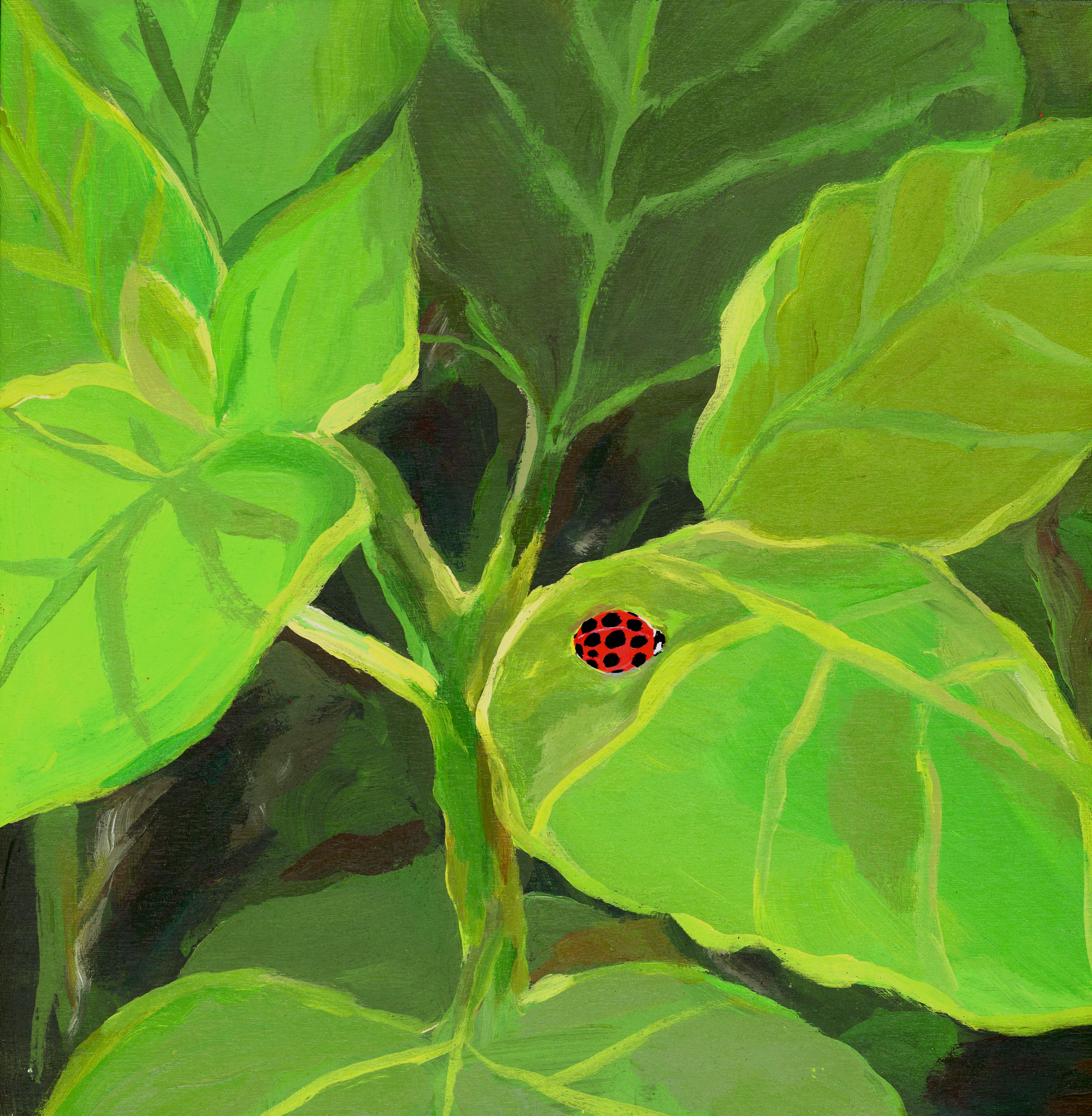 hiding