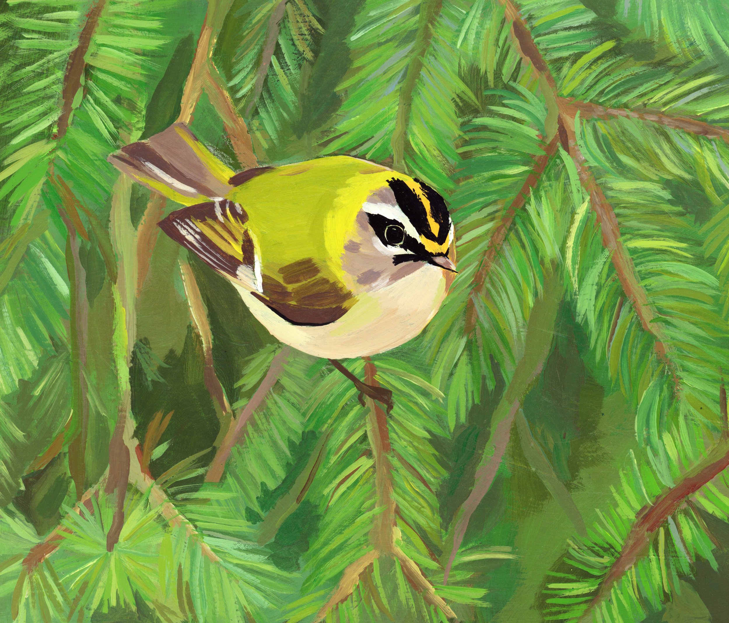 firecrest