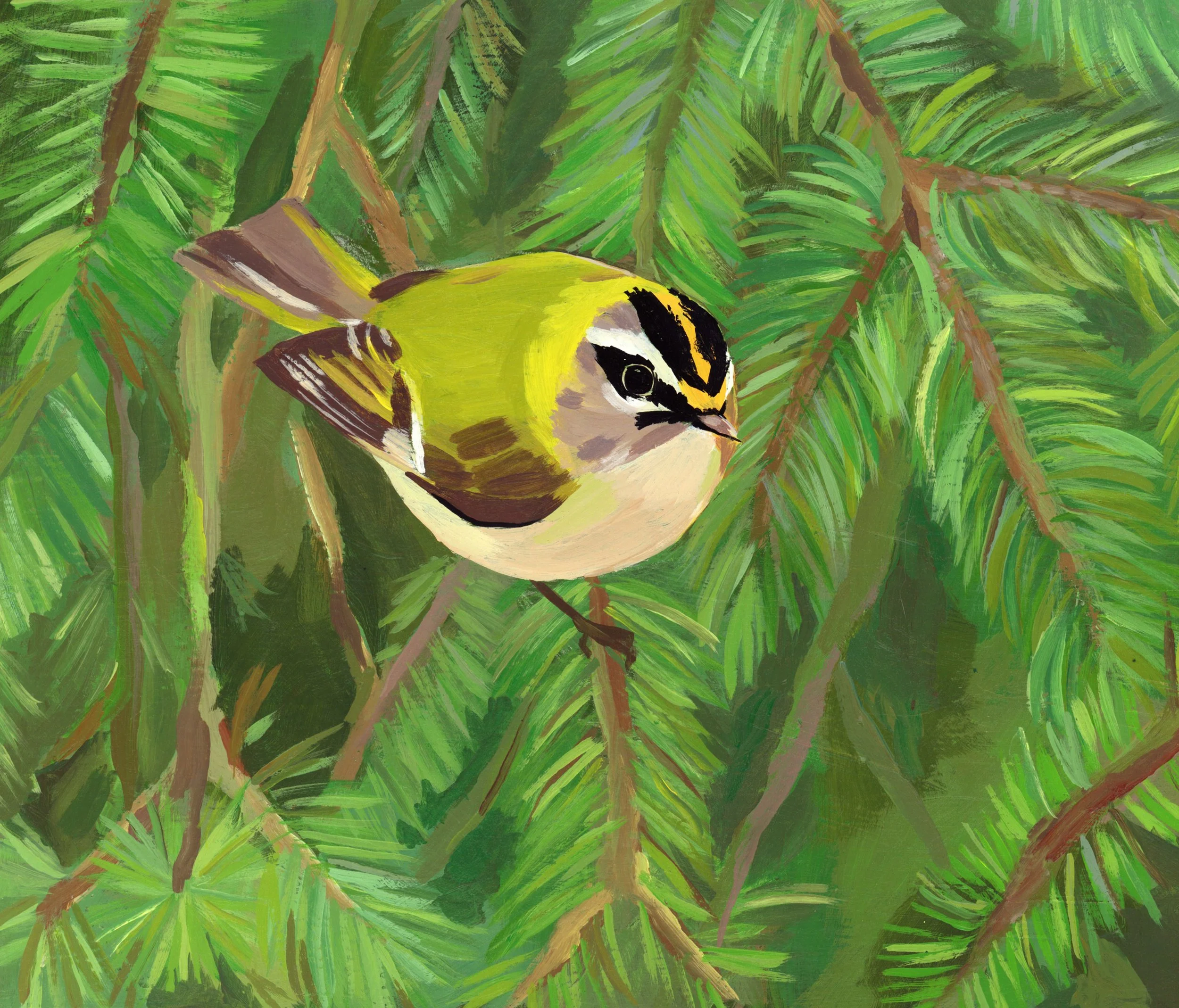firecrest