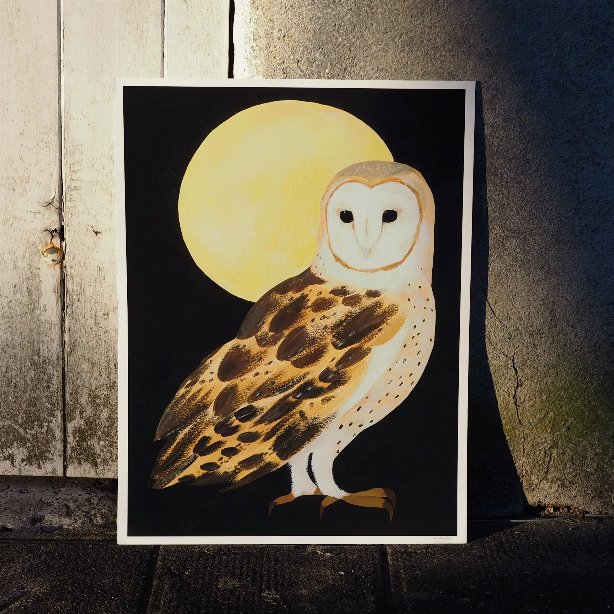 IMG_3276 2 copie.jpg