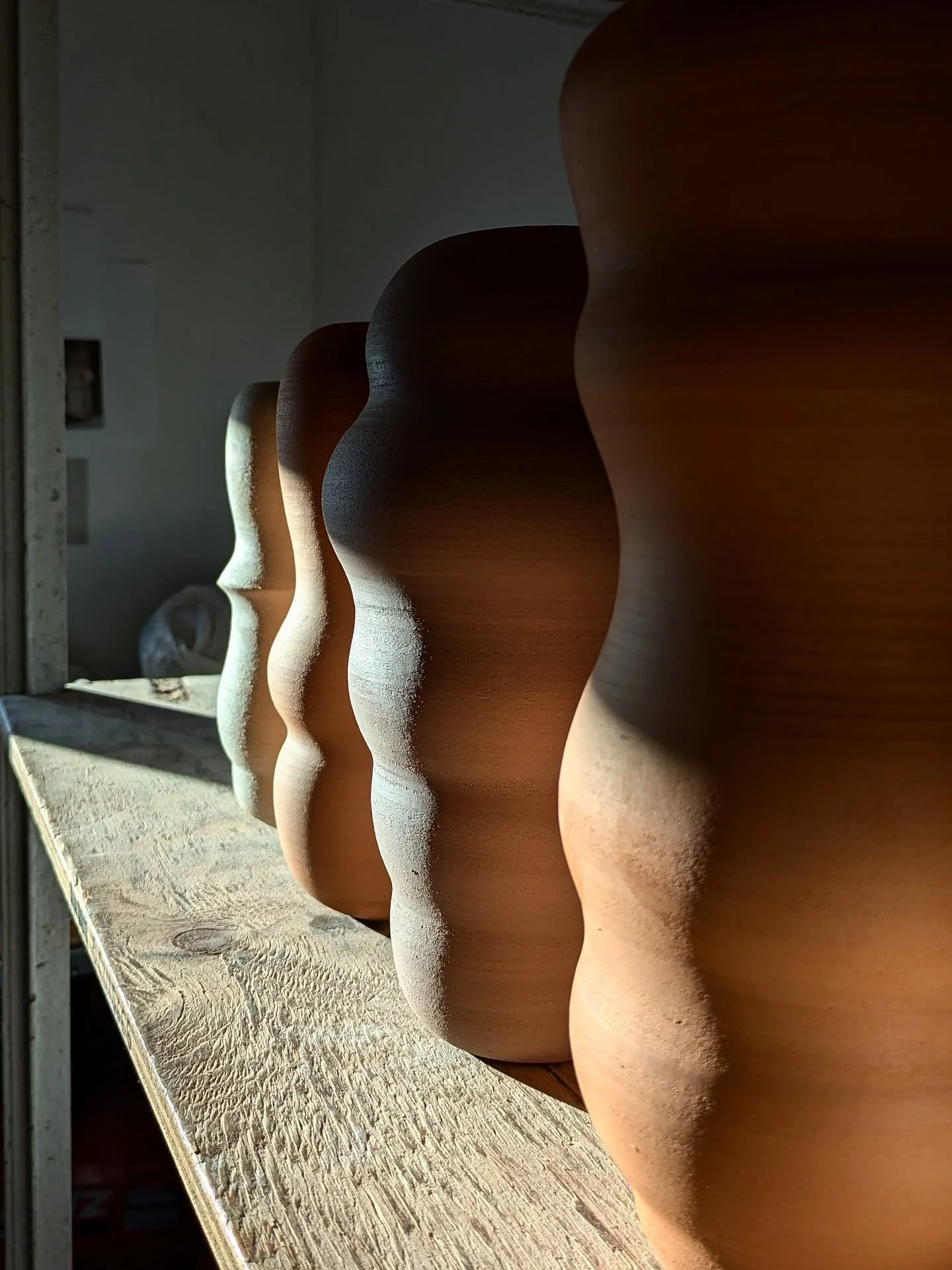 Courbes, ombres et lumi&egrave;res 

Automne &agrave; l'atelier ☀️🍂