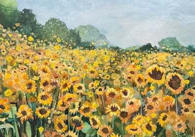 Aug_Sunflowers_webng-small.jpg