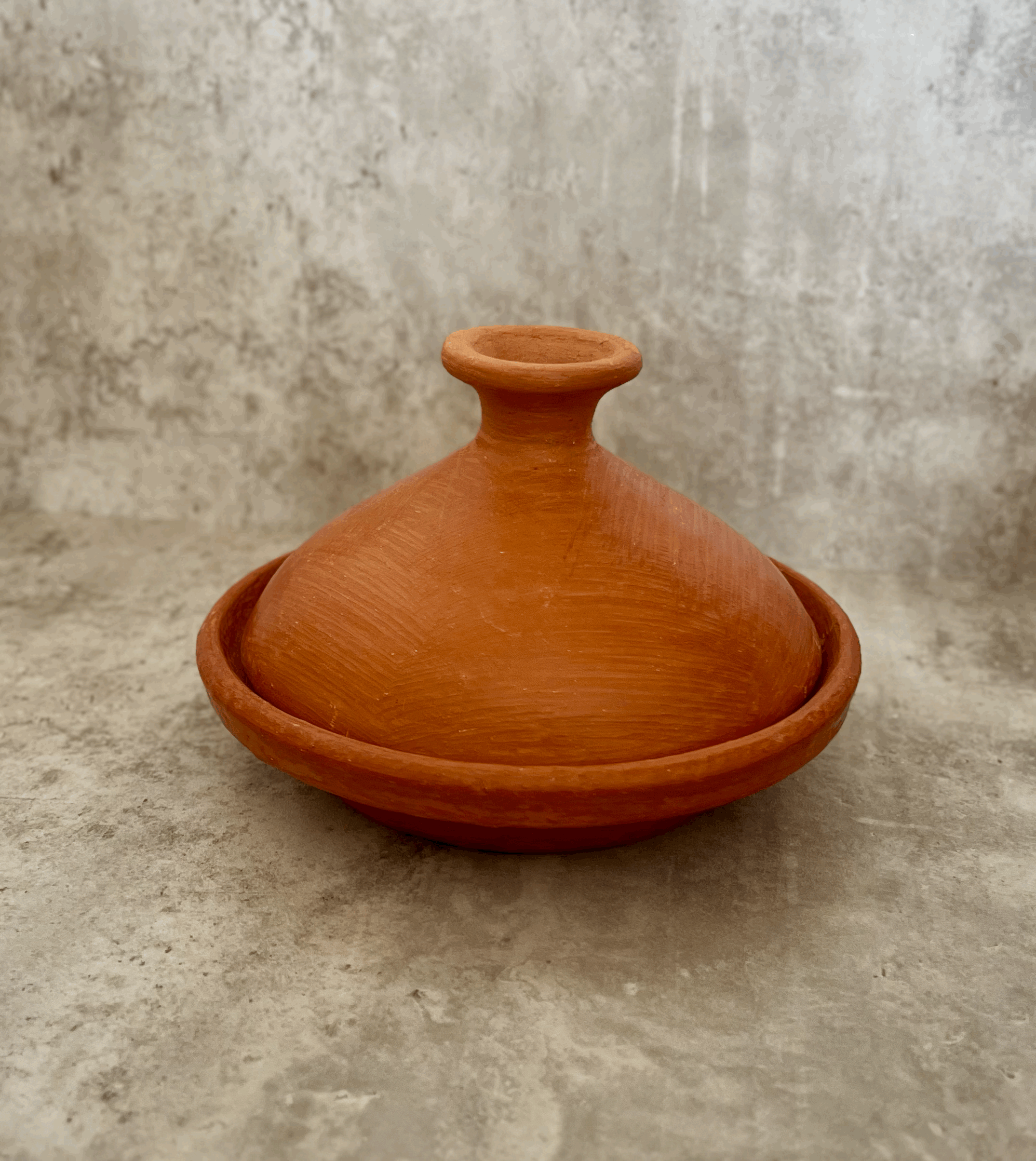 Cooking tagine