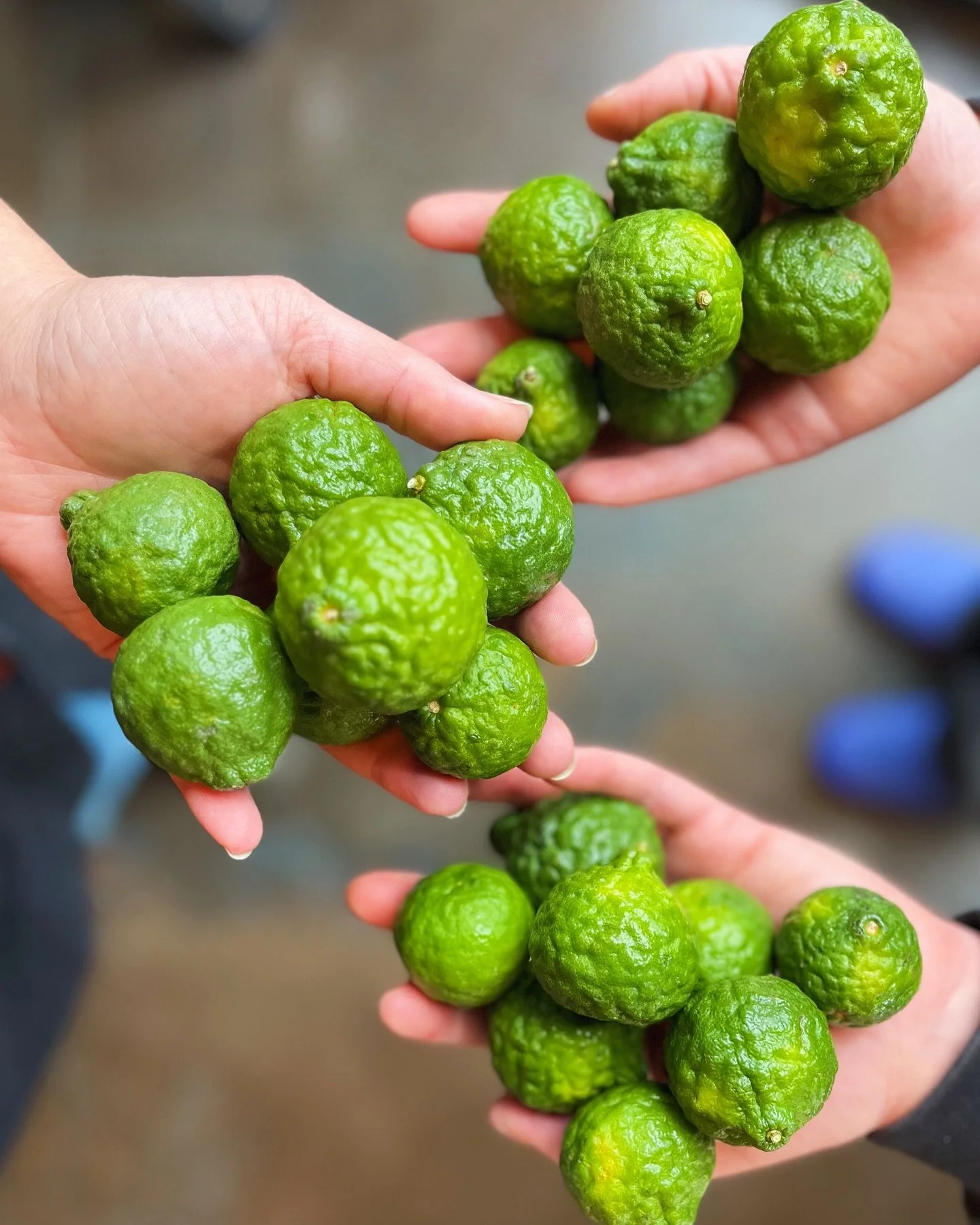 California&rsquo;s citrus season has started 🍋&zwj;🟩🍋

It always arrives sooner than we expect and the first wave of specialty varieties never last as long as we hope they will. 

Now&rsquo;s the moment to pounce! 

Right now you&rsquo;ll find inc