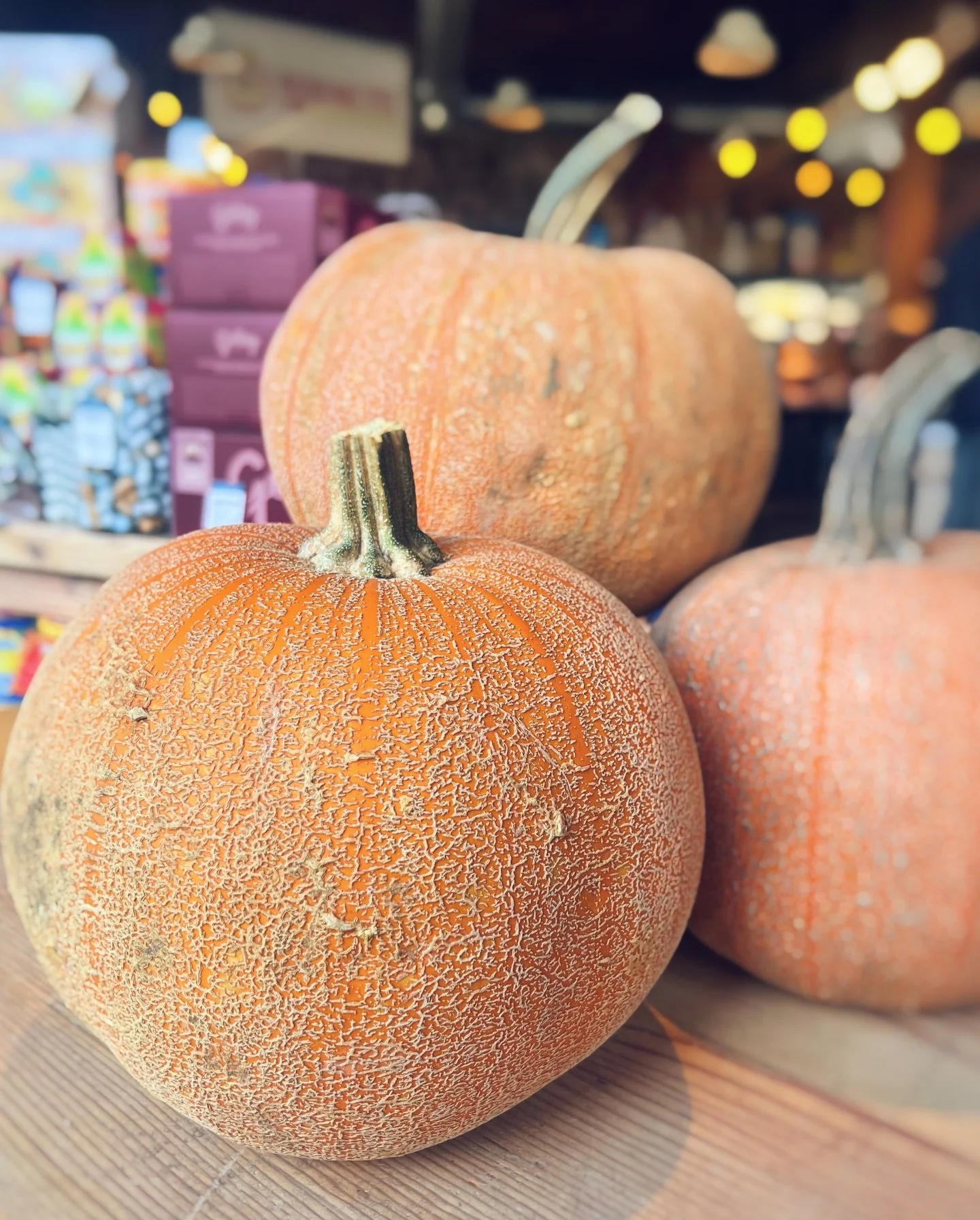 Level up your pie game and ditch the can this holiday!

Winter squash varieties (why yes, a pumpkin IS a winter squash) that are low in moisture are ideal for pie filling. Why? They absorb everything you add to them (cream, eggs, sugar, spices) and s