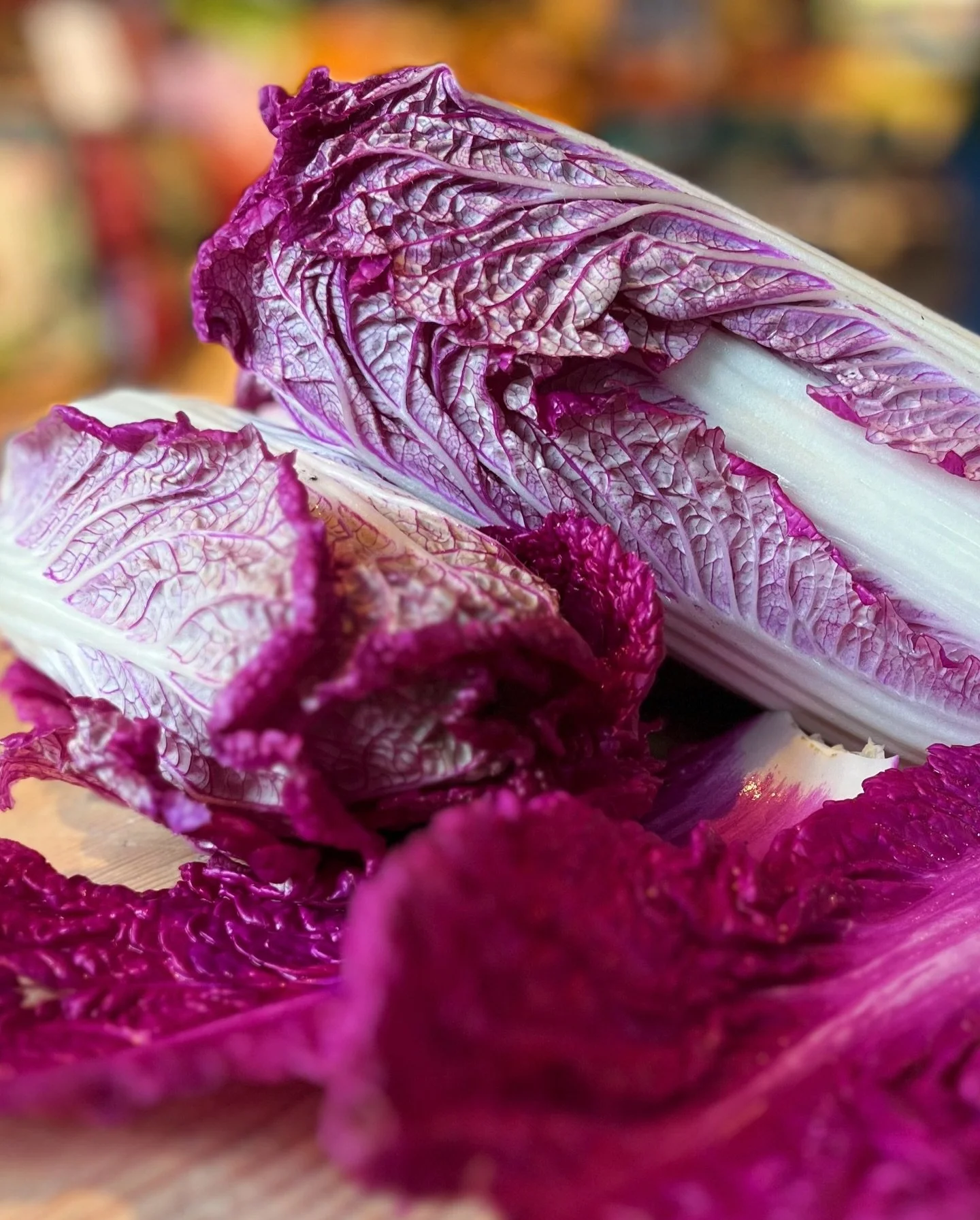 The ✨prettiest✨ purple Napa cabbage from @campo.collective landed and we&rsquo;re thinking&hellip;kimchi!?

Or paired with rosy Rosalba radicchio for a 🦄 themed salad?

Or we&rsquo;ll just gaze at it adoringly 😍