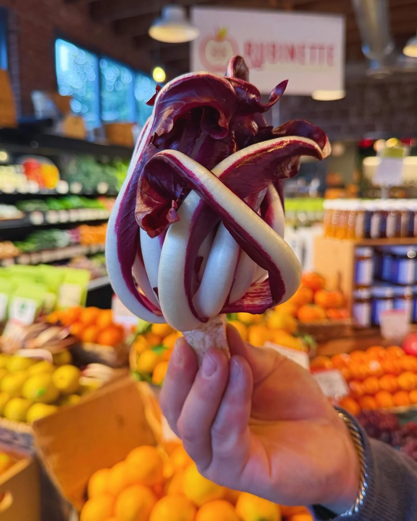 Treviso Tardivo radicchio from @hayshakerfarm bestill our heart!

This forced variety is plucked from the field, roots and all,  when the plant is still immature and transplanted in a light deprived environment (think: forced rhubarb, Belgian Endive&