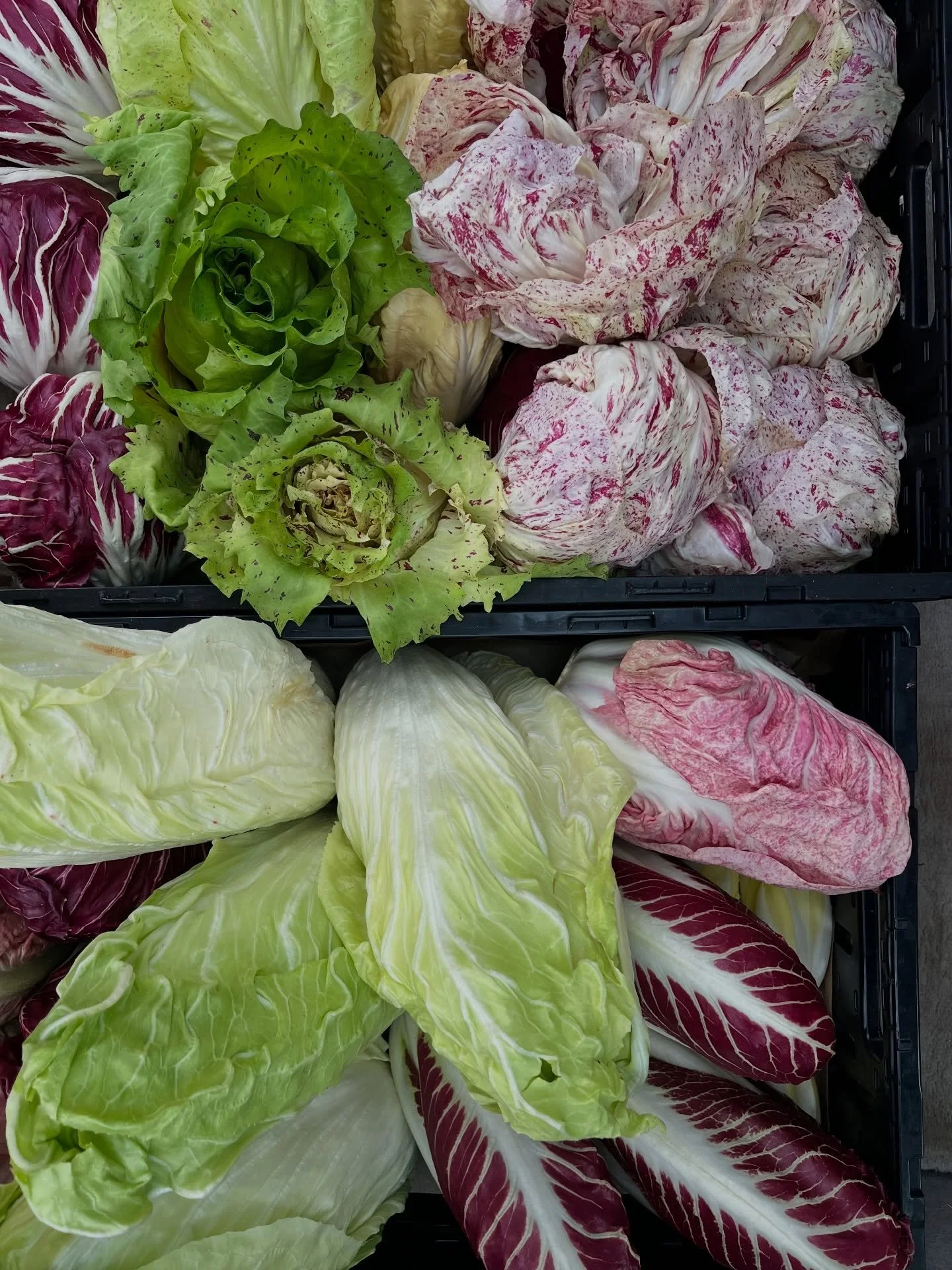 Shop till you drop! Saturday, December 13th!

We&rsquo;ll donate 20% of total sales to @farmersmarketfund 

Farmers Market Fund? 

Yes! 

These are the good folks behind the Double Up Food Bucks for SNAP benefit recipients. This program helps communi