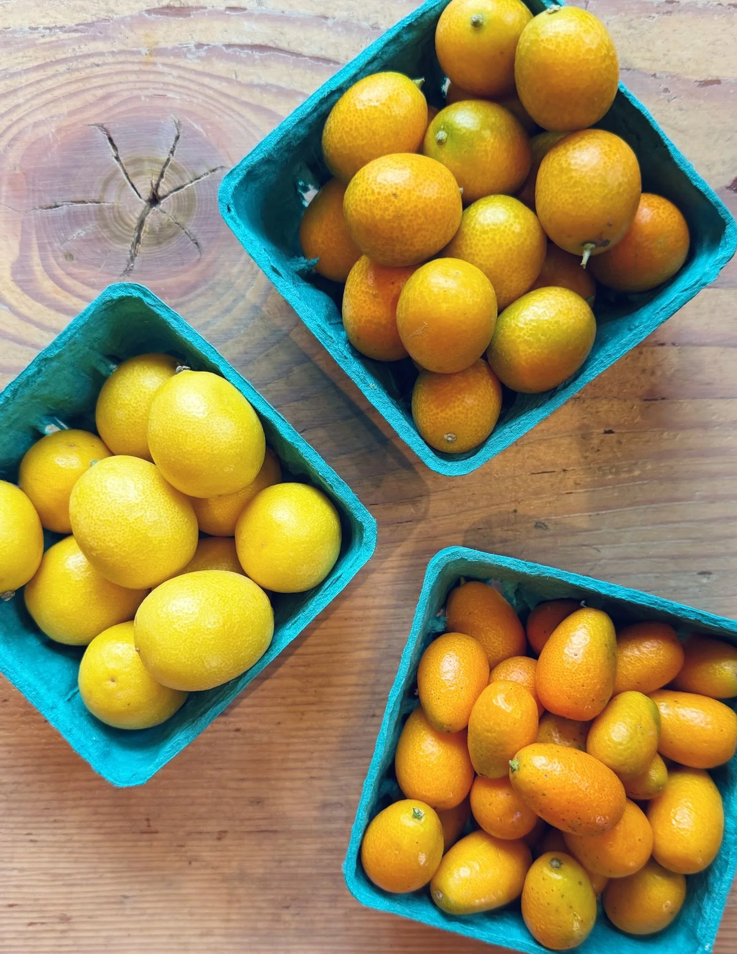 Quat Talk!

The time for these sweet-tart little flavor bombs has arrived. 

For those of you that know and love them, you&rsquo;ve probably already started your seasonal &lsquo;quat popping. But for those still skeptical, let&rsquo;s chat some basic