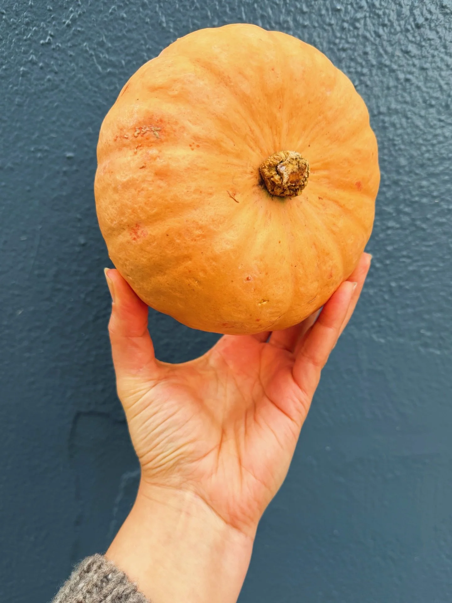 Winter squash is starting to dwindle&mdash; you&rsquo;ll see fewer varieties on the racks at Rubinette and at the farmers market these days.

But this Pink kabocha is making its brief foray and we do think it&rsquo;s worth getting excited about! 

Th