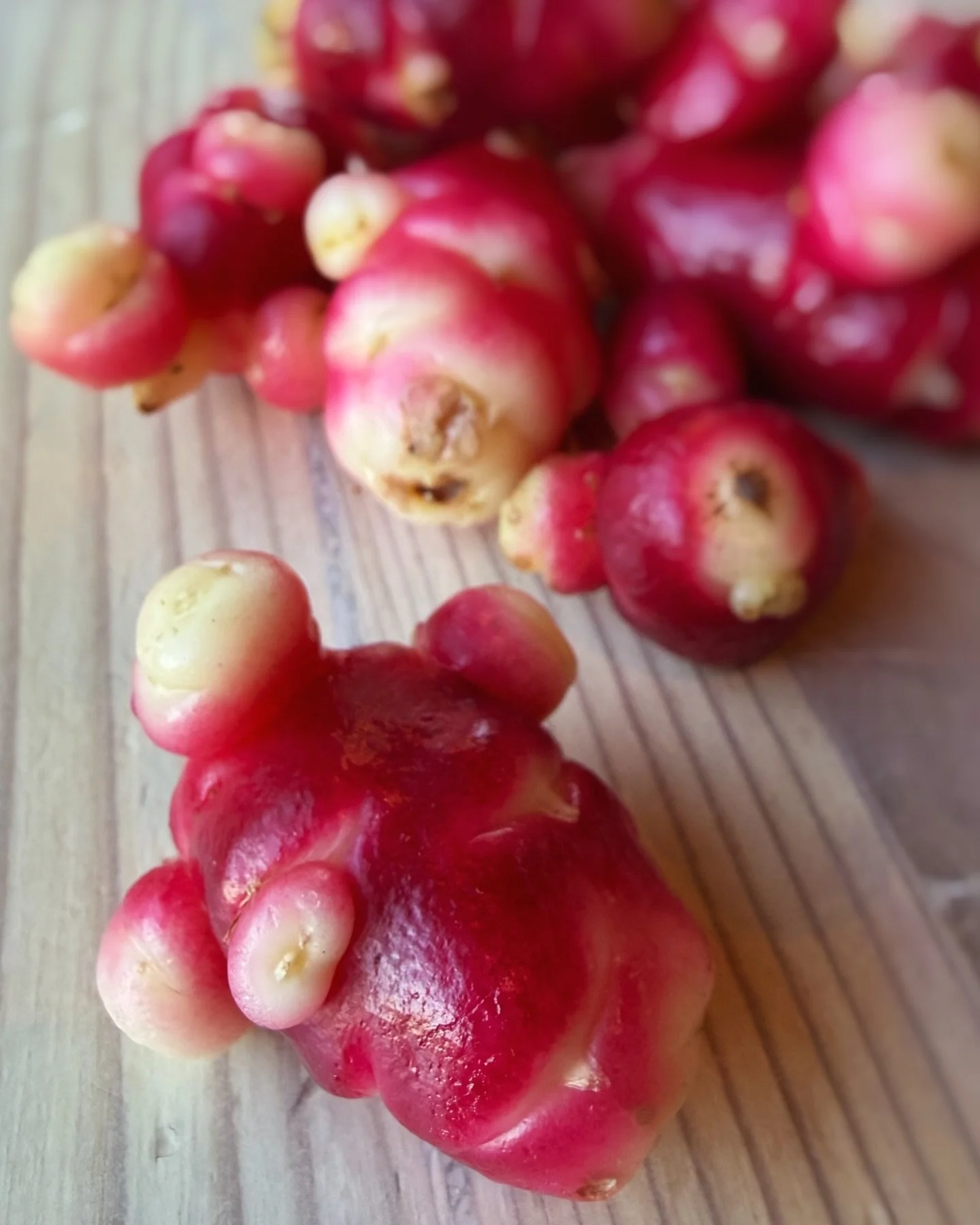 Oca, an Andean Super Food!

This rosy-hued tuber in the Oxalis family isn&rsquo;t something you&rsquo;ll come across at most grocery stores. Rich in fiber, prebiotic fructooligosaccharides (FOS) that feed good gut bacteria and vitamins, minerals and 