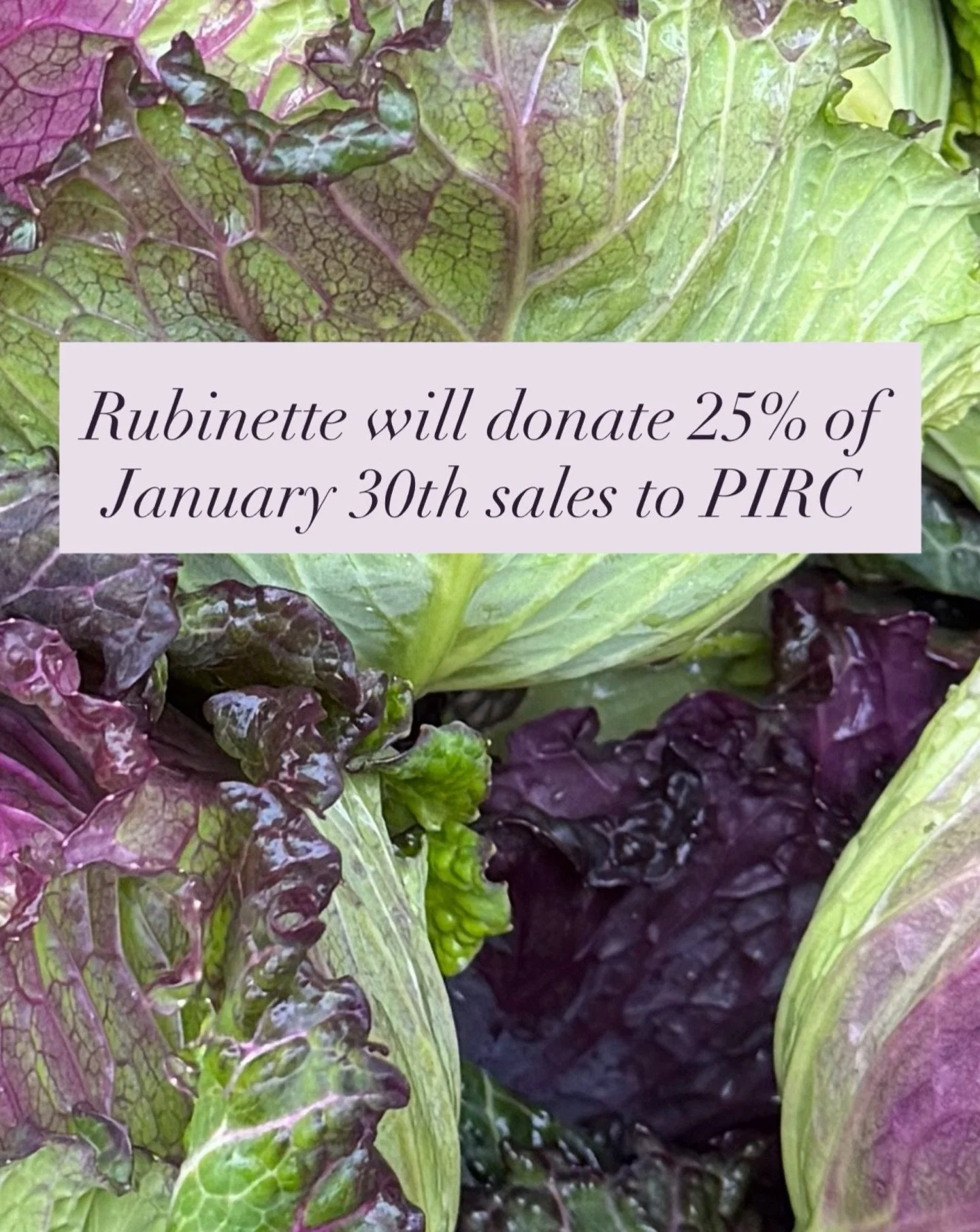 In unprecedented times, we all do what we can. In support of the call for nationwide protest against ICE, we will donate 25% of sales on 1/30 to @pirc_oregon