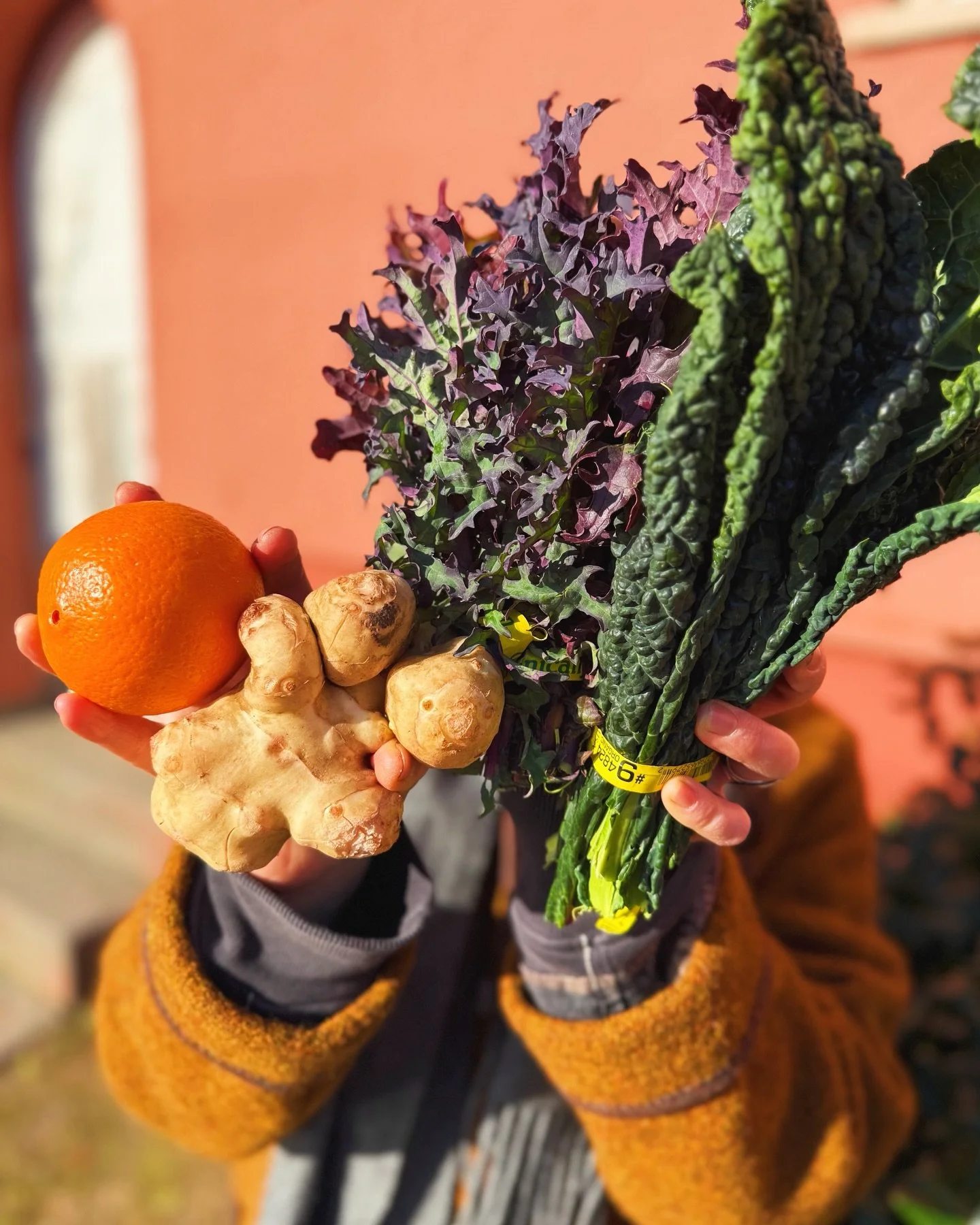 We&rsquo;ve heard the food trend for 2026 is more fiber (apparently most Americans aren&rsquo;t eating enough of it&hellip;yikes!) 

Naturally, we&rsquo;d love to help you eat more fresh (local when you can!) colorful and delicious fiber. 

Fiber com