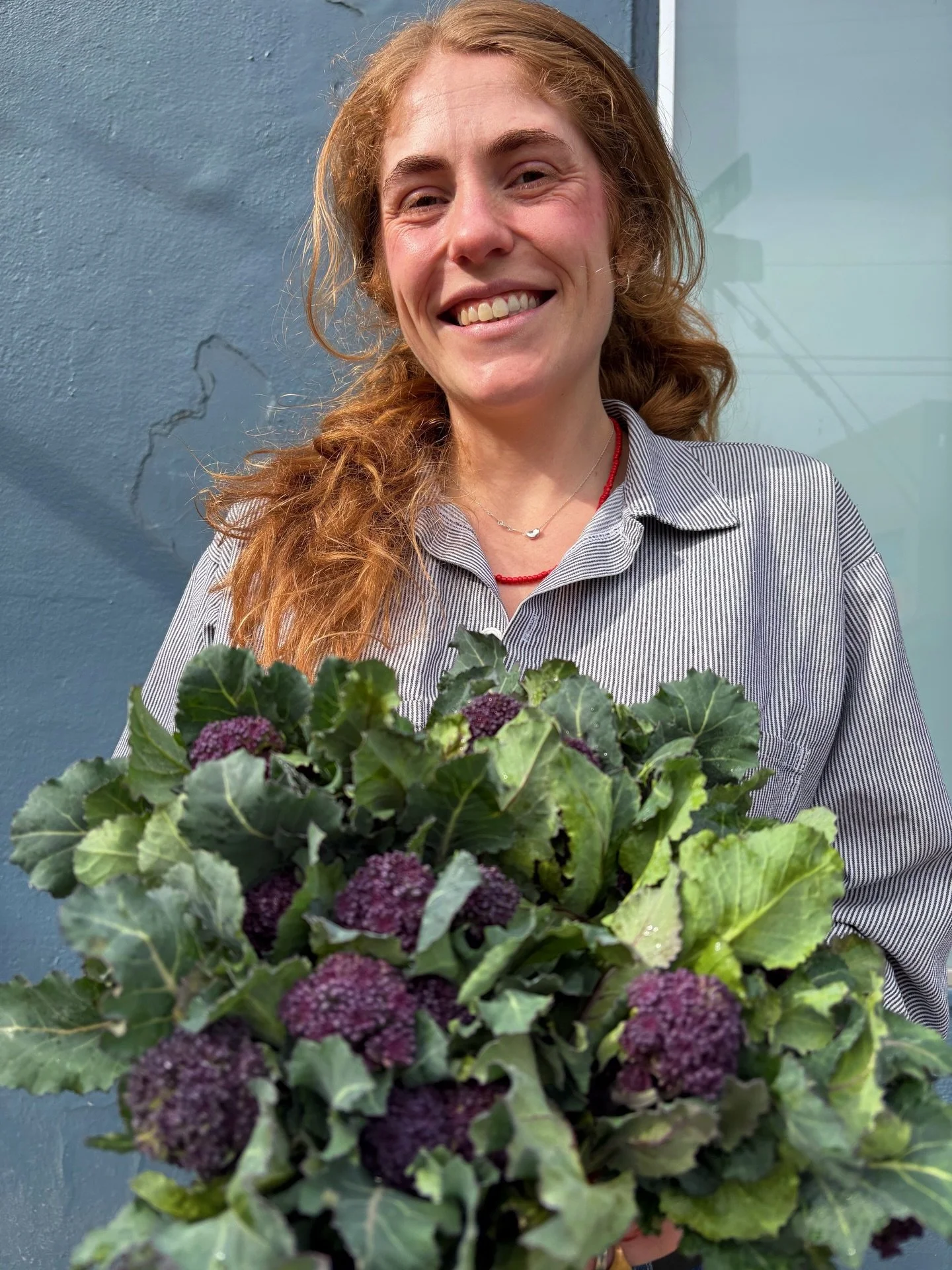 We blinked and&hellip;PURPLE SPROUTING BROCCOLI is back!
Spring&hellip;is that&hellip;you!?

Thanks to our friends at Mustard Seed Farm for this early bounty!