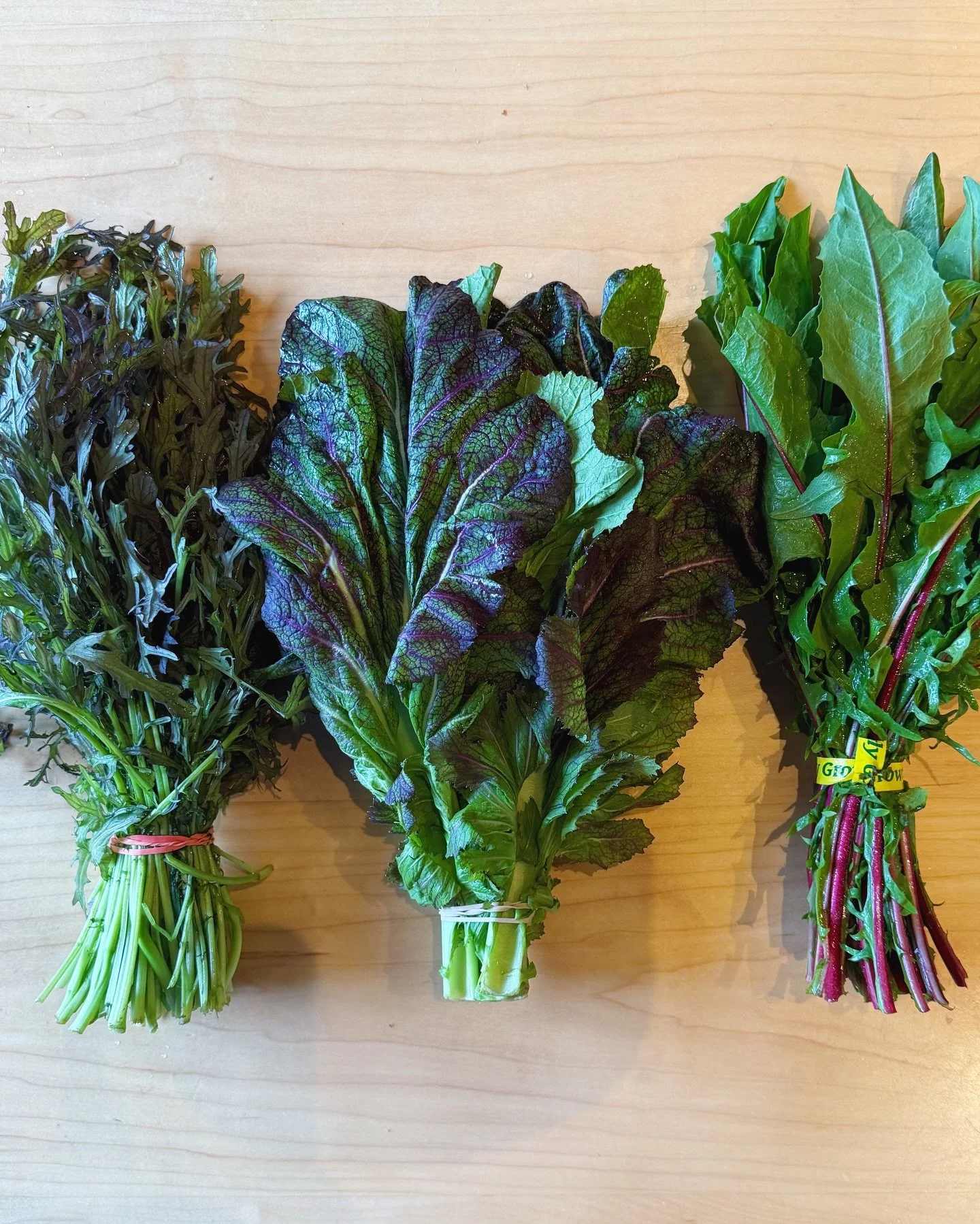 Early spring in the NW is aaaall about the fresh greens!

&ldquo;Greens&rdquo; almost feels like a misnomer with these shades of purple and red, though!

Ruby Streaks Mustard from @ourtablecooperative features lacy leaves that add loft and a touch of