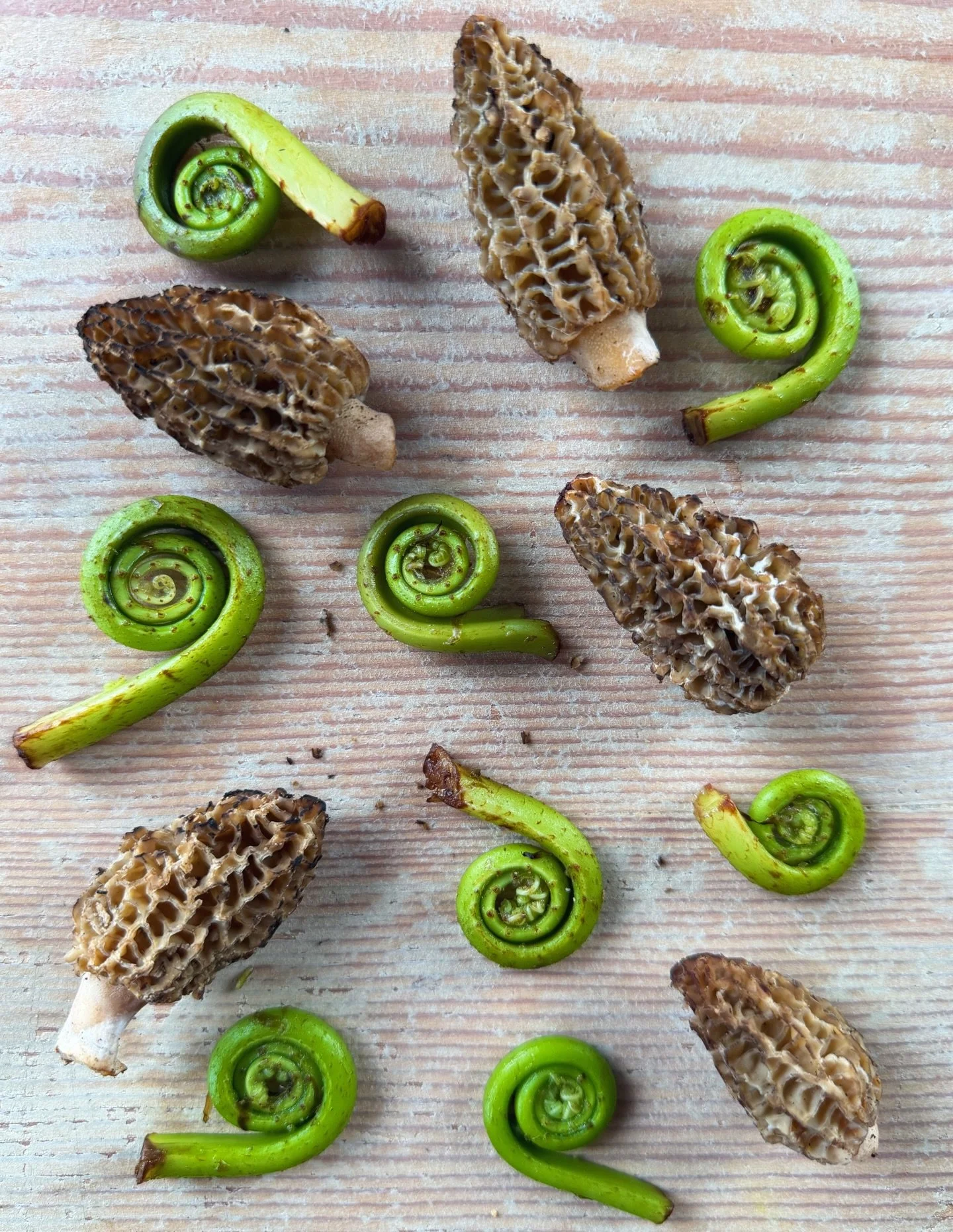 A perfect pairing, foraged Northwest Fiddlehead Ferns have also joined Morels in the springy lineup at Rubinette. Risotto anyone!?