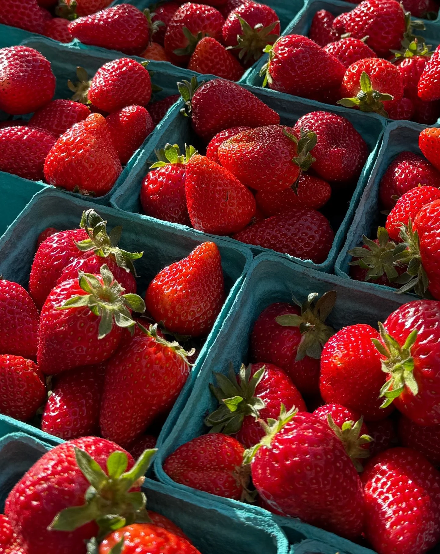 🍓Local Strawberry Report 🍓

If you made it down on the early side to one of the farmers markets in the area today you probably noticed✨a lot✨more strawberries than last week!

A good sign there will soon be enough for us to have plenty at Rubinette